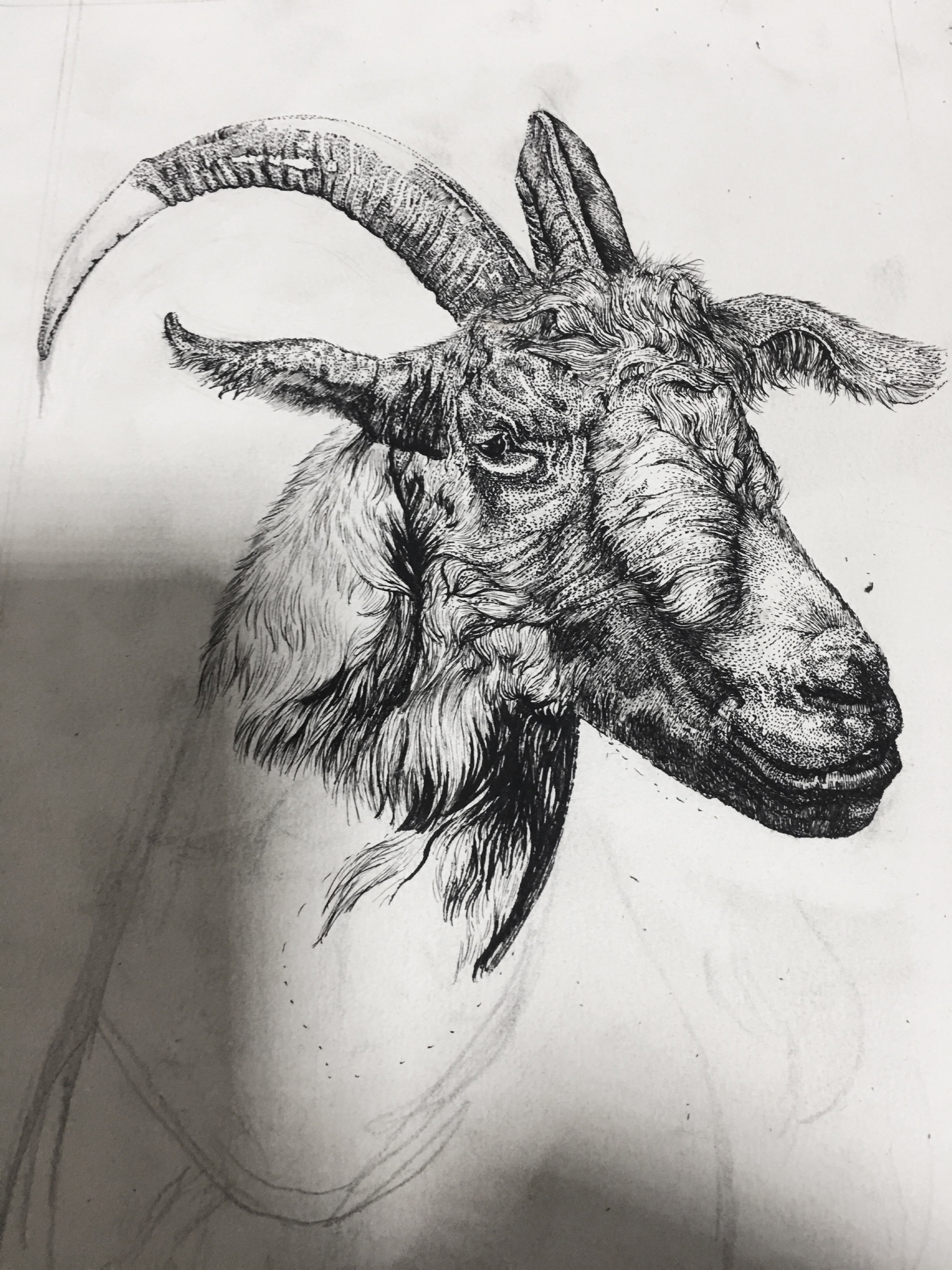 羊四- 研 - 原创作品 - 视觉中国(shijueme)