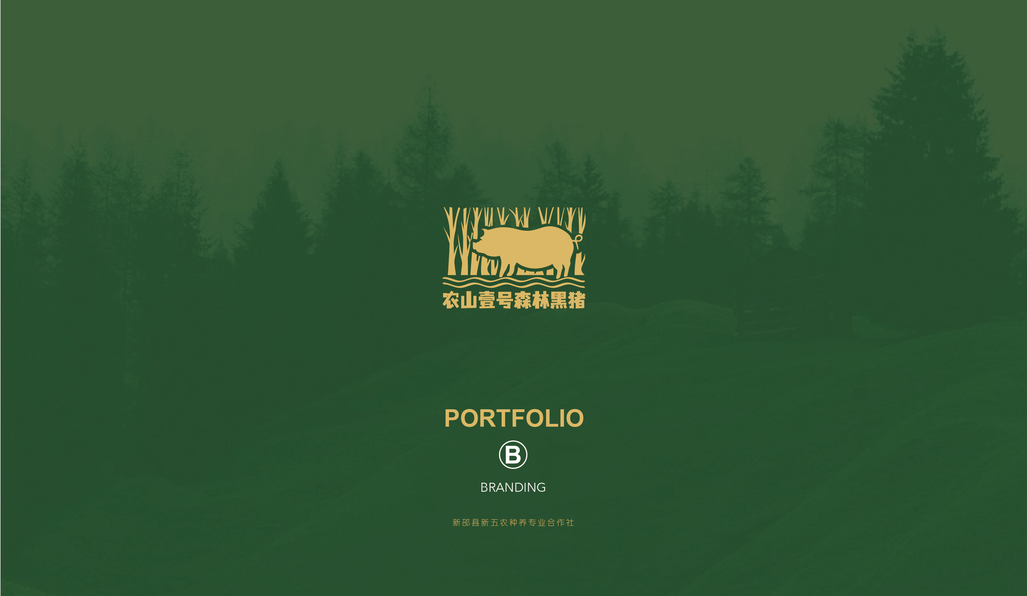 黑猪品牌logo设计 - 时代七设 - 原创作品 - 视觉中国(shijueme)