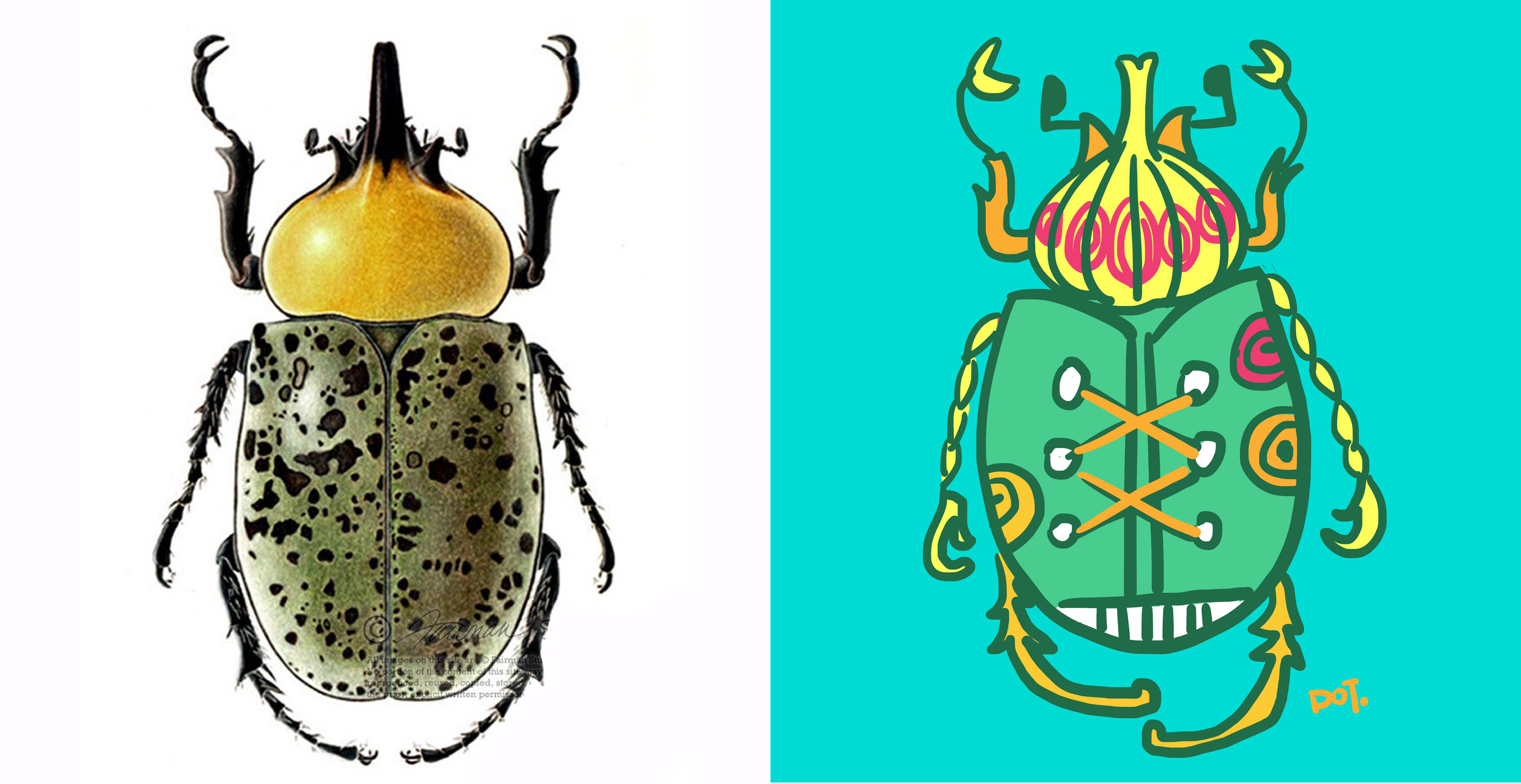 (新作)甲虫系列