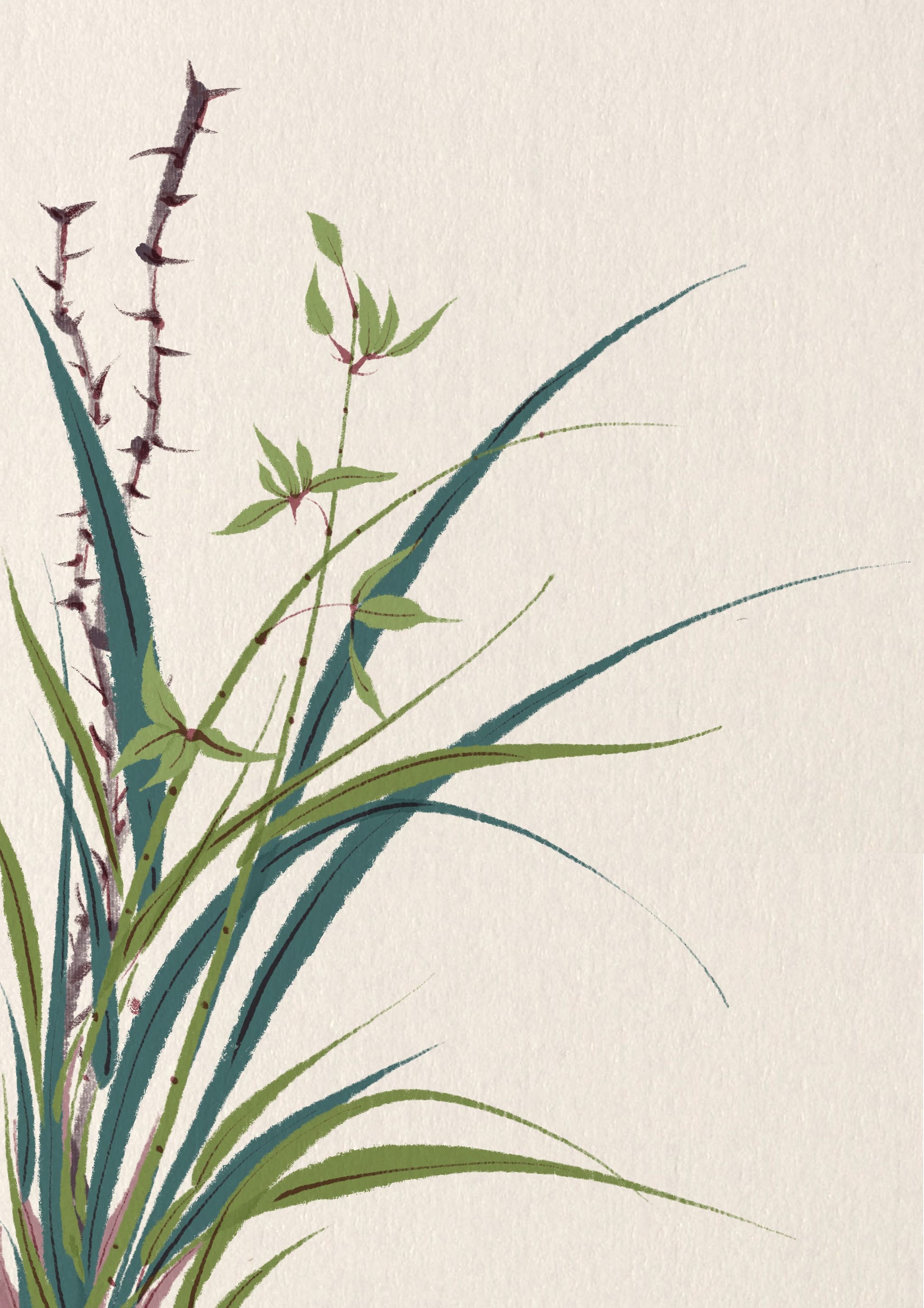 古风花花草草合集