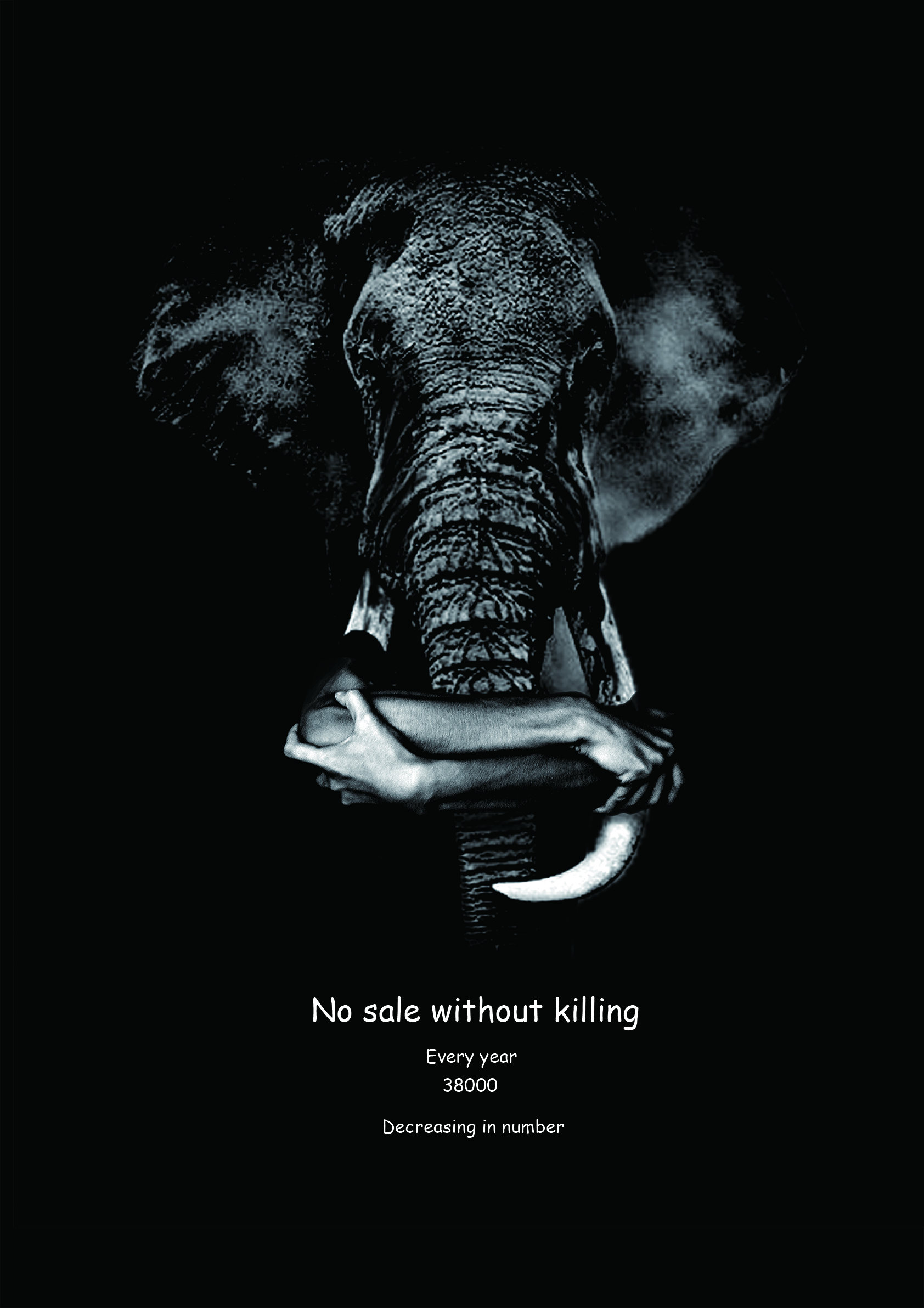保护动物海报黑白图片