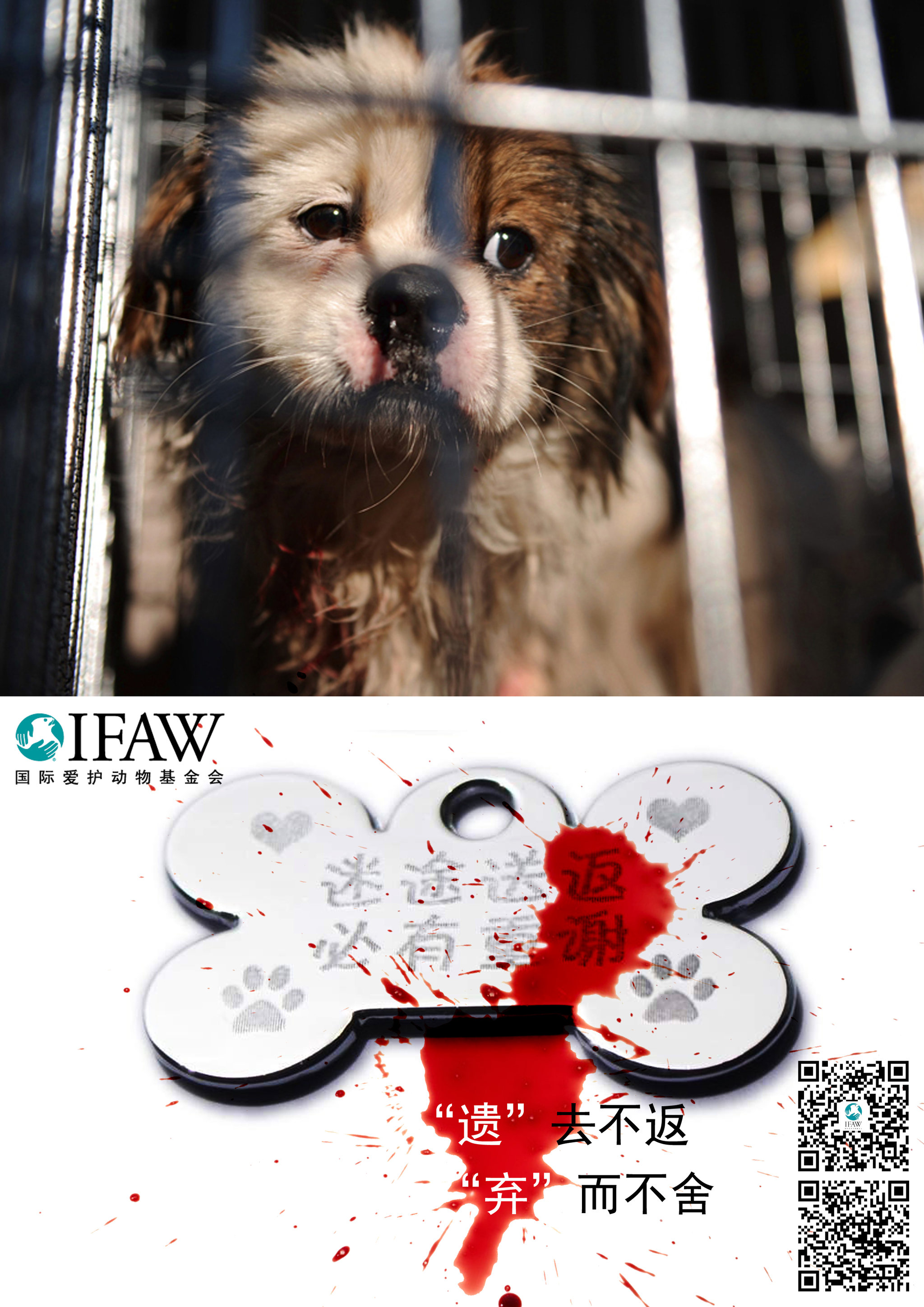 你所践踏的或许是他人的全部.