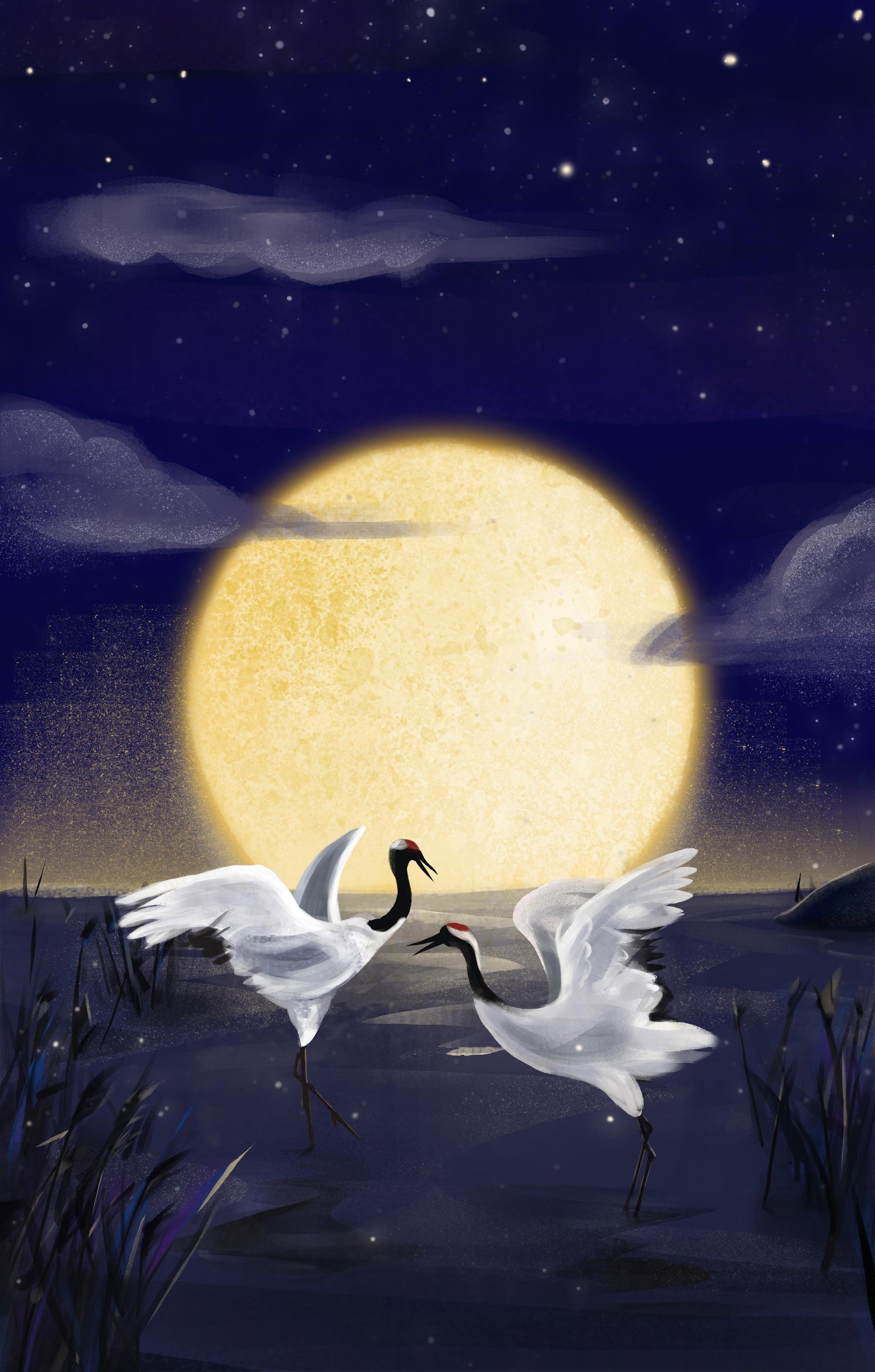 中秋——月圆之夜