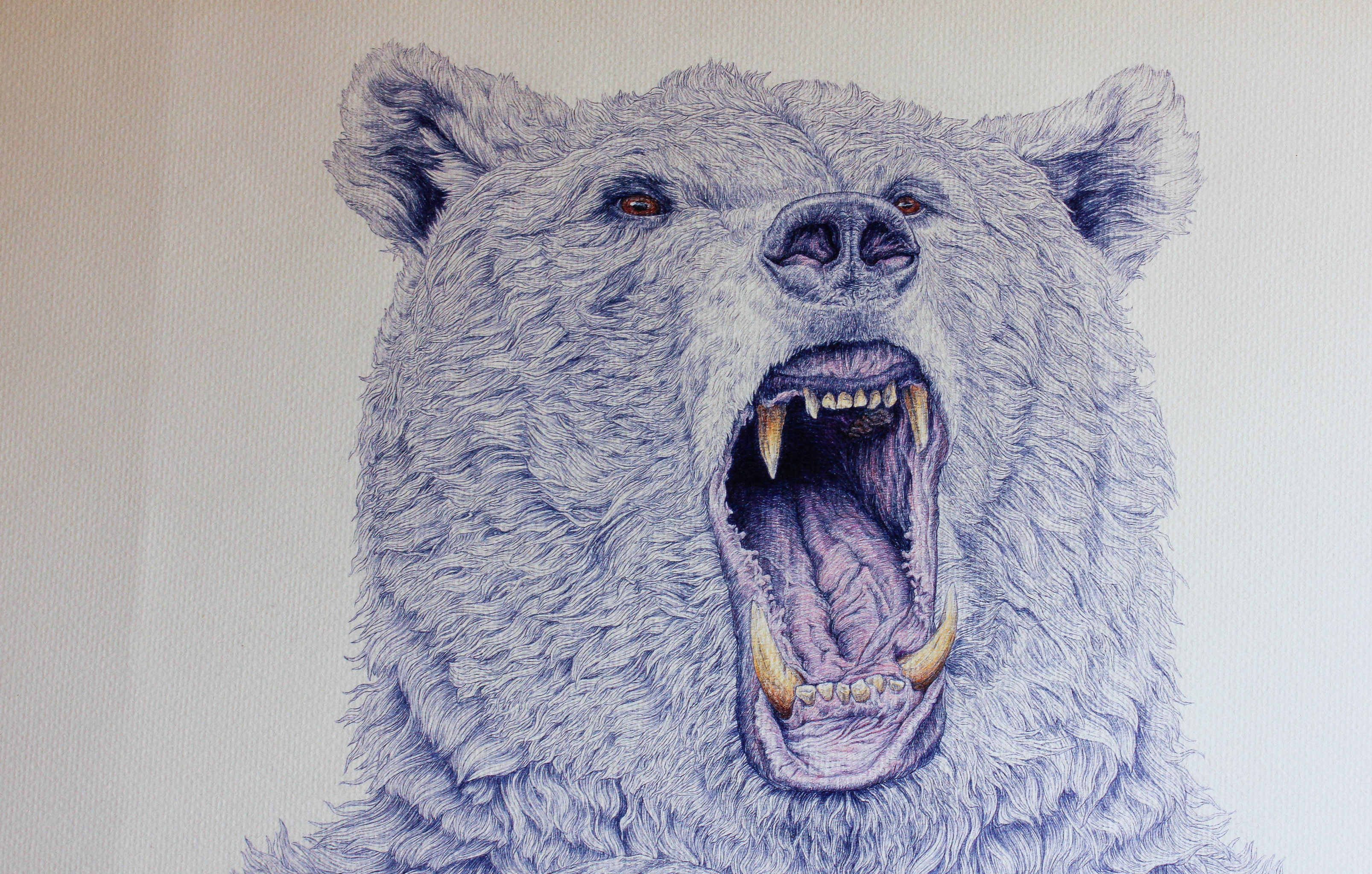 一只站着怒孔的熊灵,脖子上挂着的是侵入领地敌人