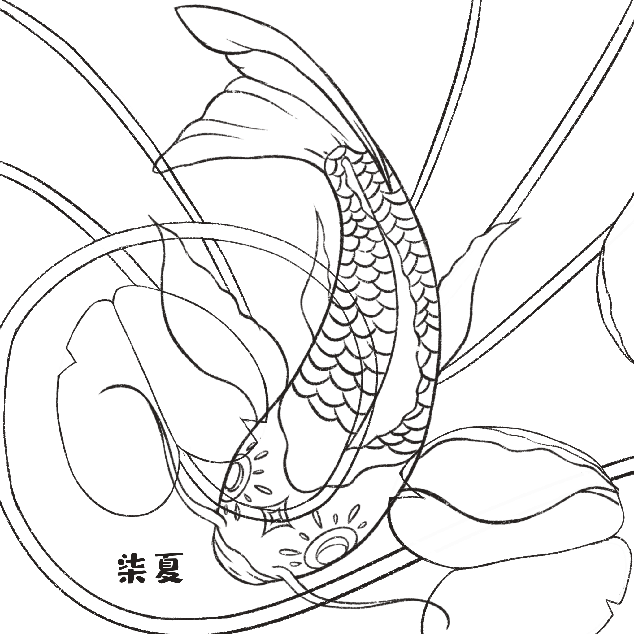 国潮插画 锦鲤
