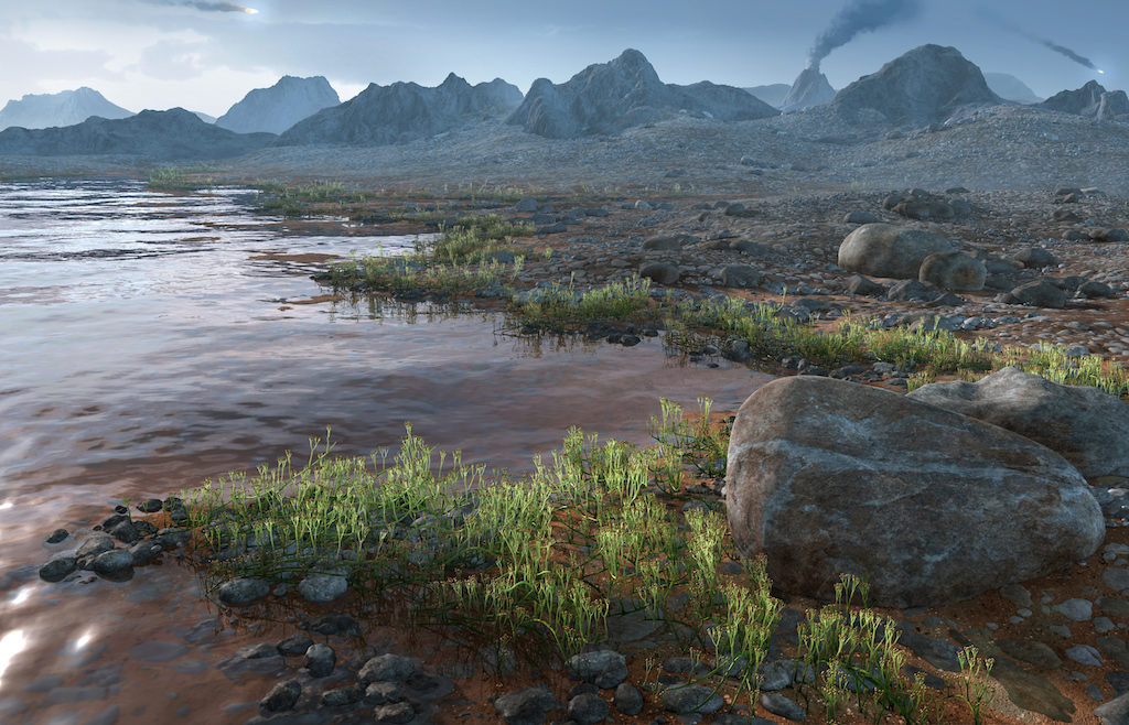 荣誉提名奖 - 约亨 -《发展——植物的进化:库克逊蕨属》 - illusalon