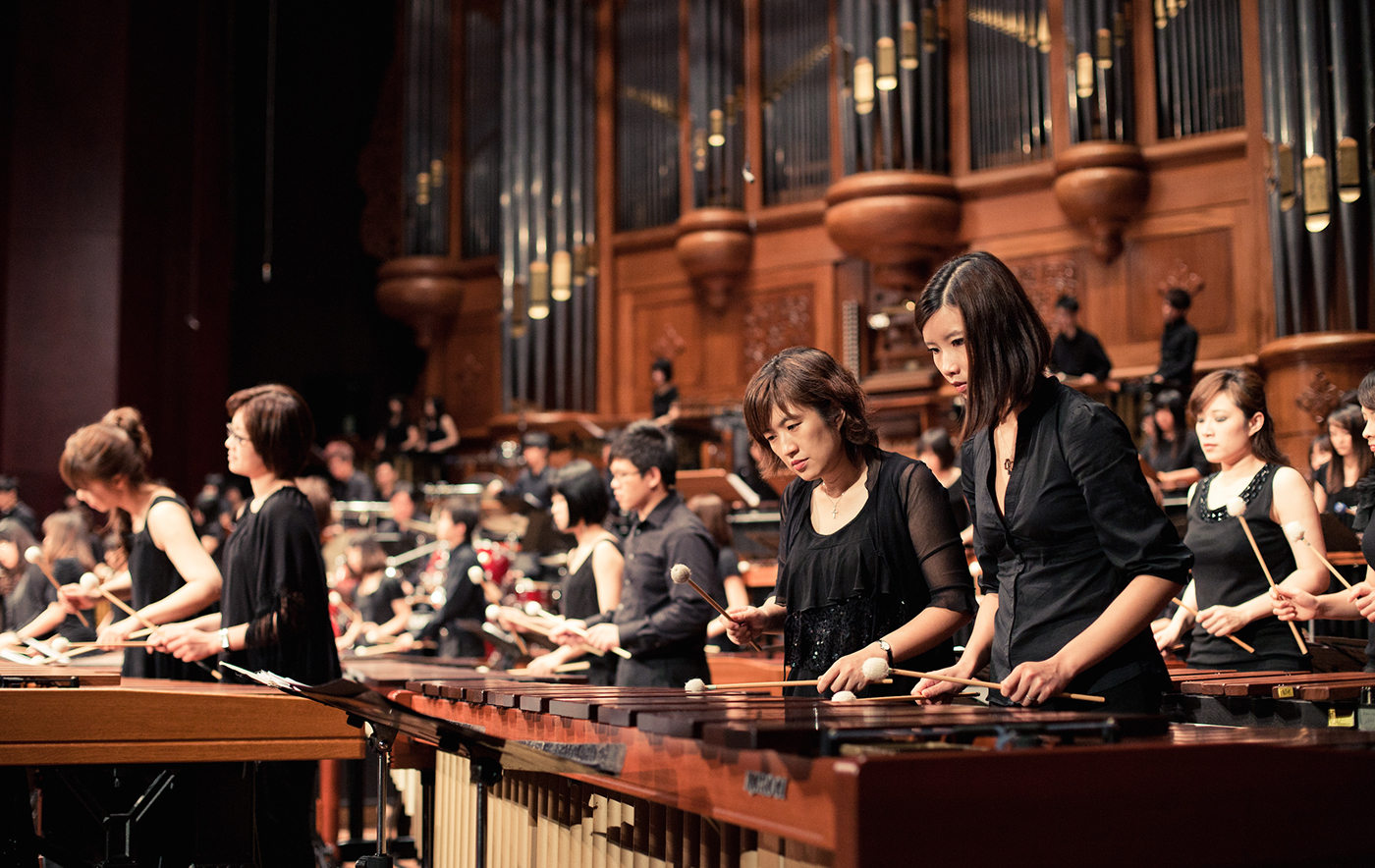 百人木琴演奏会 · 意境 · 似与不似