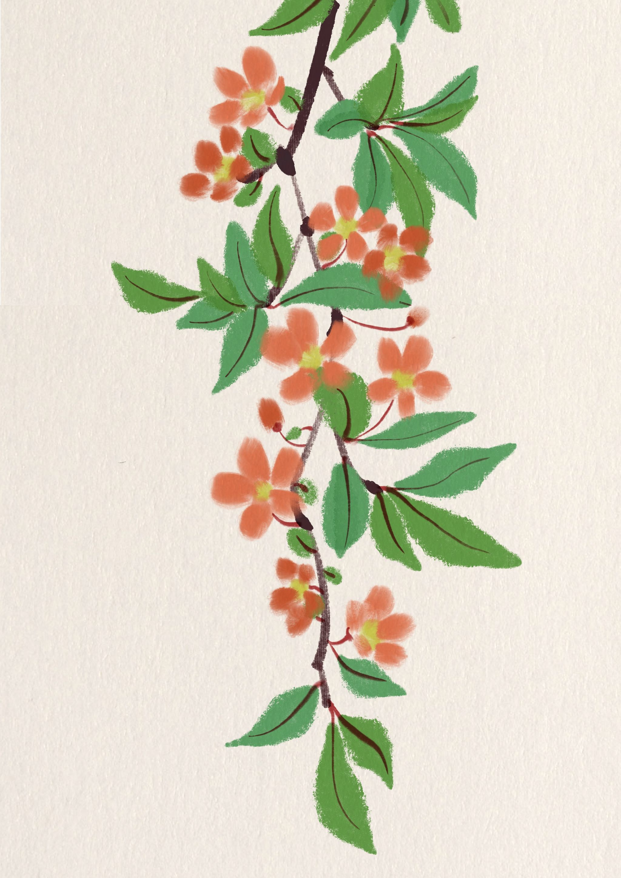 古风花花草草合集