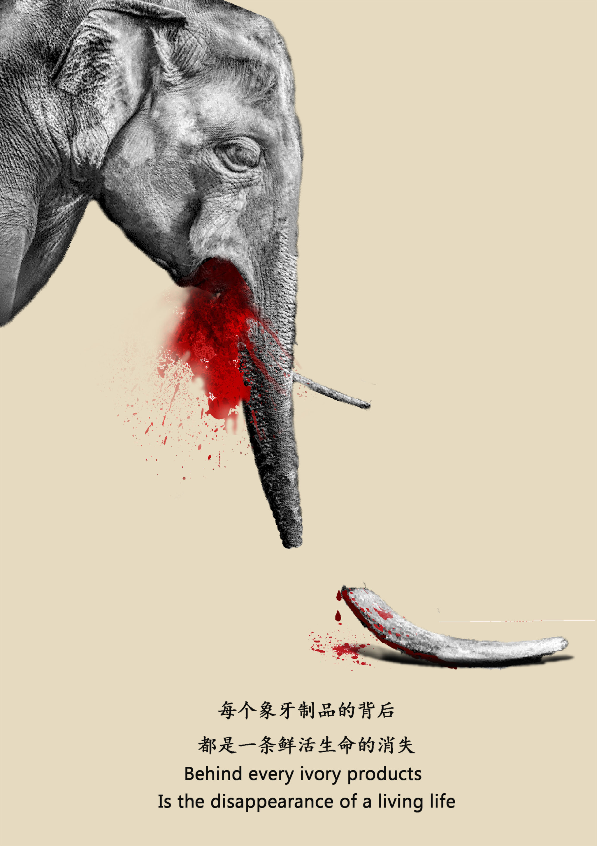 从我做起,抵制象牙制品.