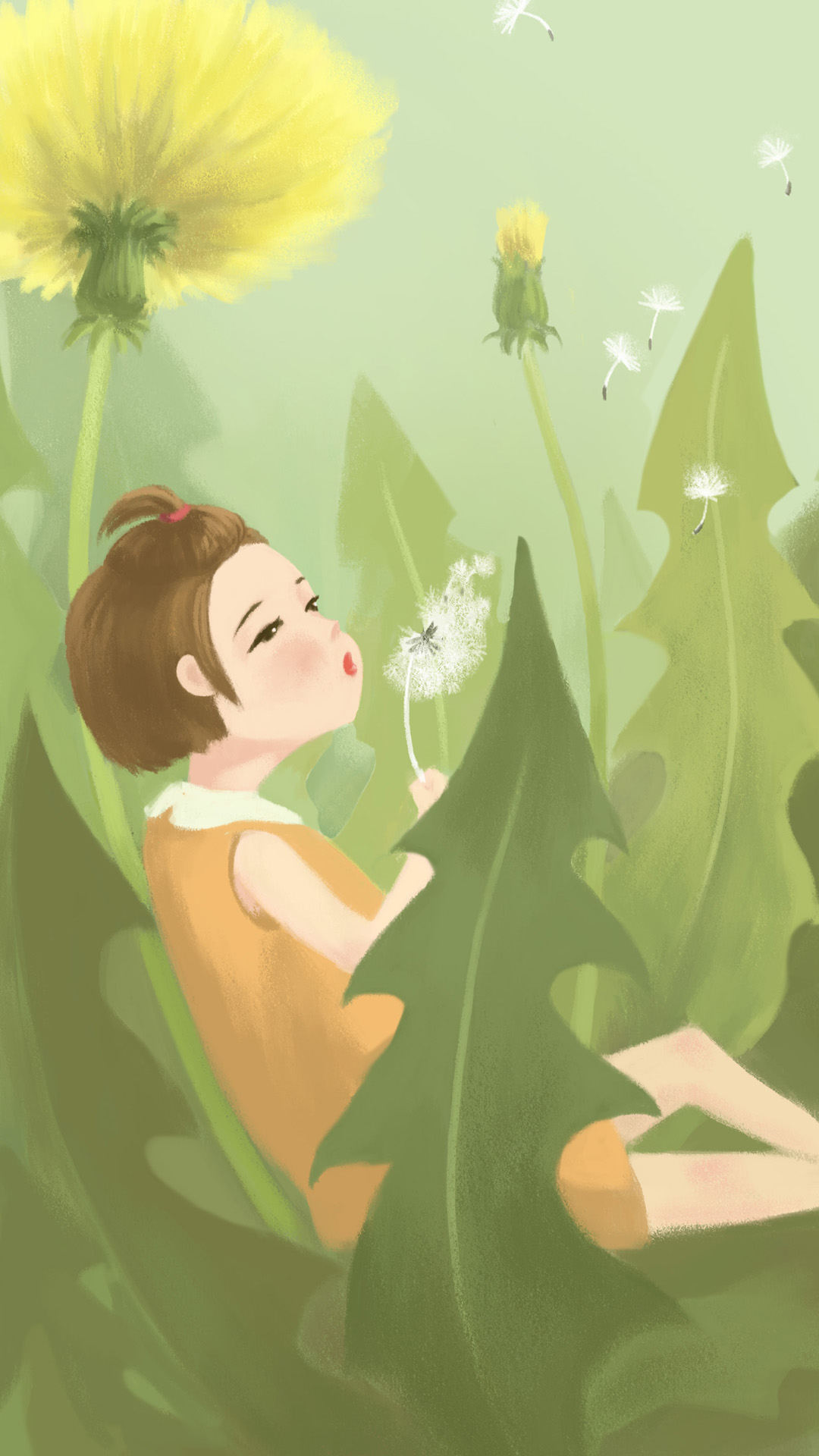 花儿—蒲公英