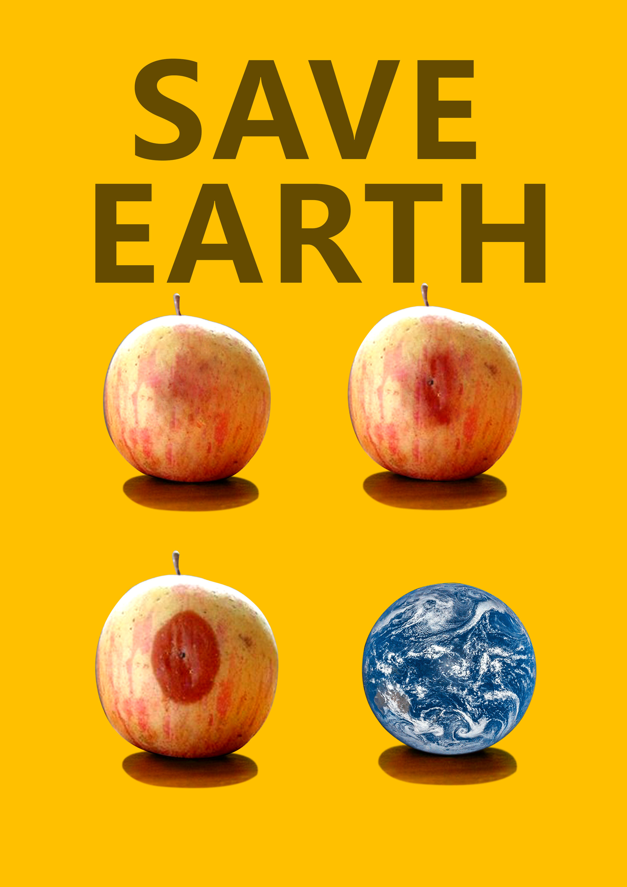 savetheearth海报图片