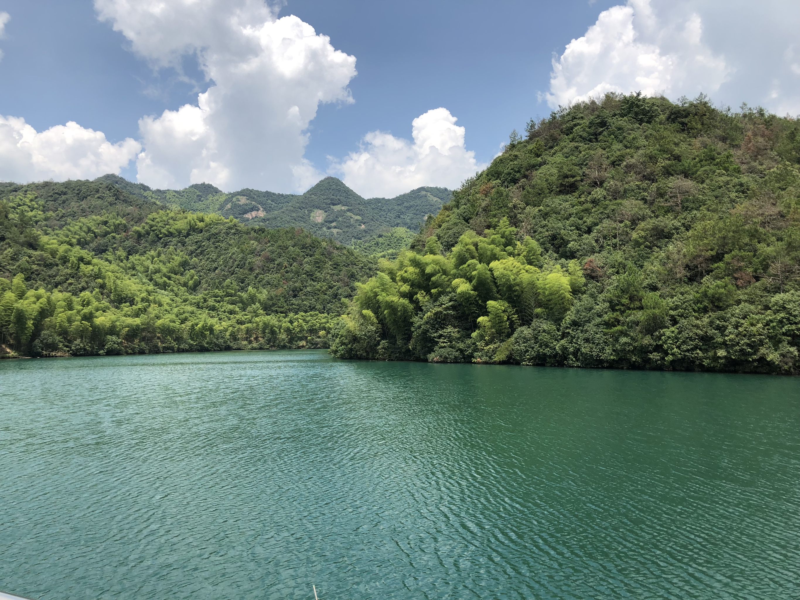 杭州龙坞水库 - 林之雅 - 原创作品 - 视觉中国(shijueme)