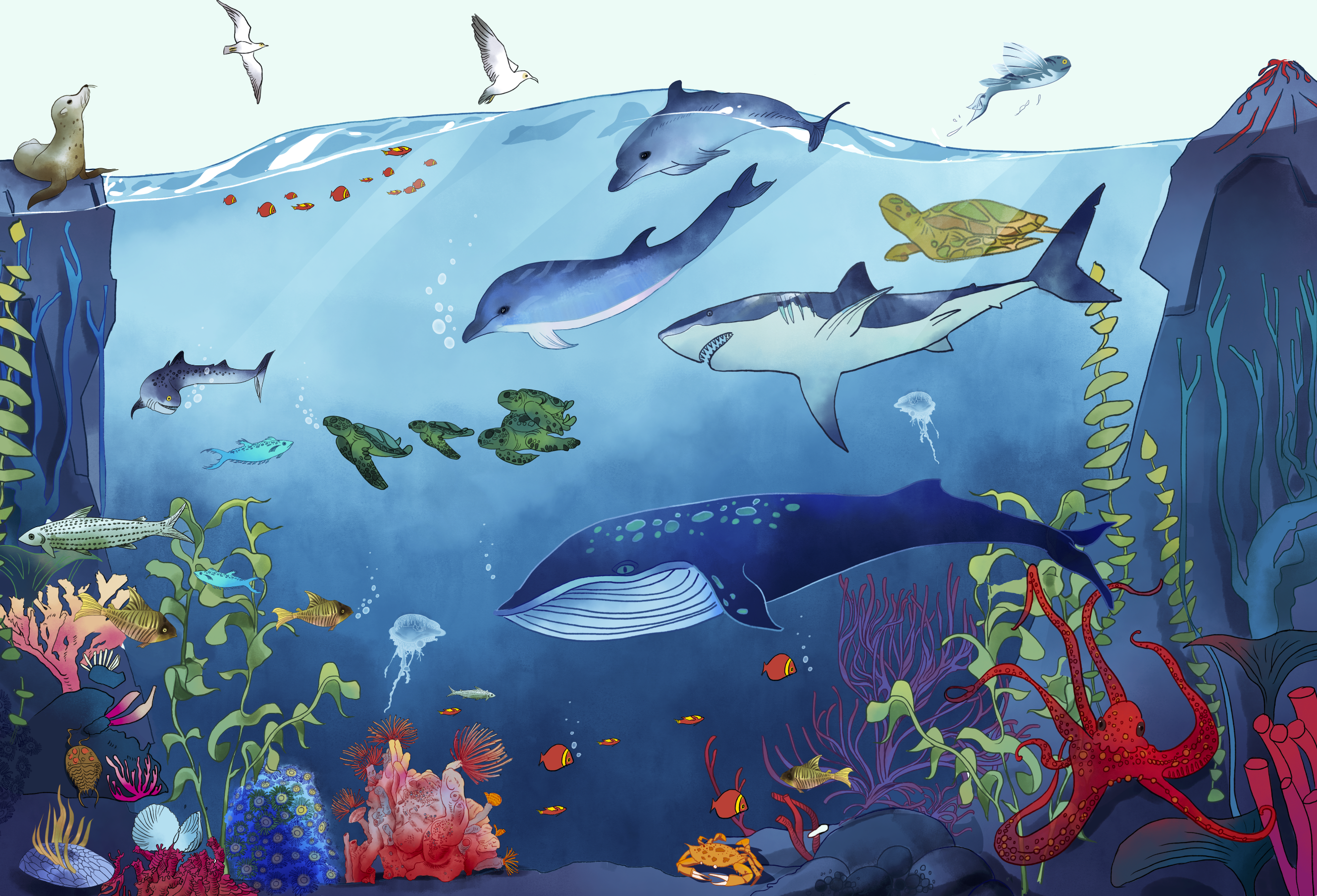 科普绘本插画 - euthalia.w - 原创作品 - 视觉中国(shijueme)