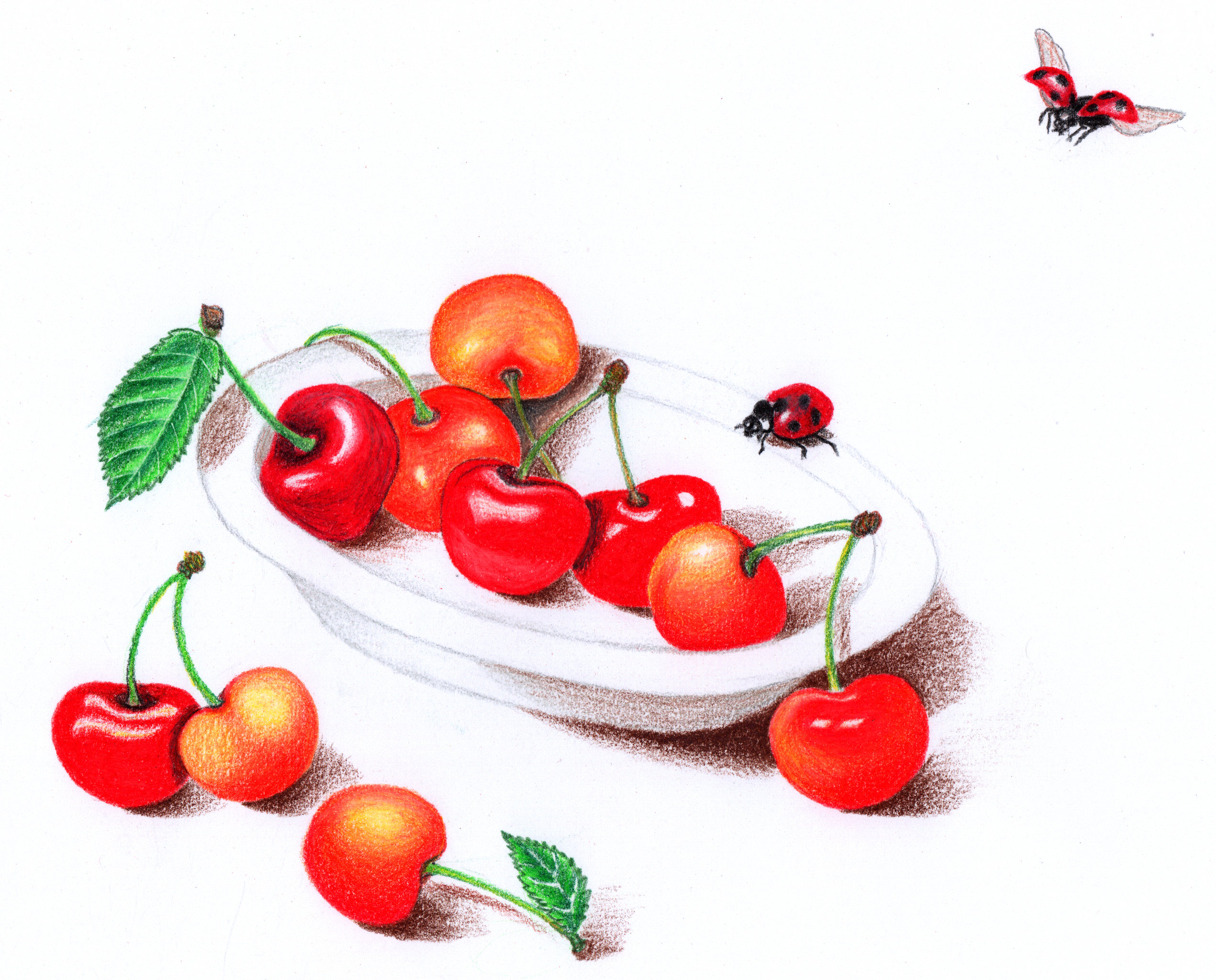 彩铅画——一些水果