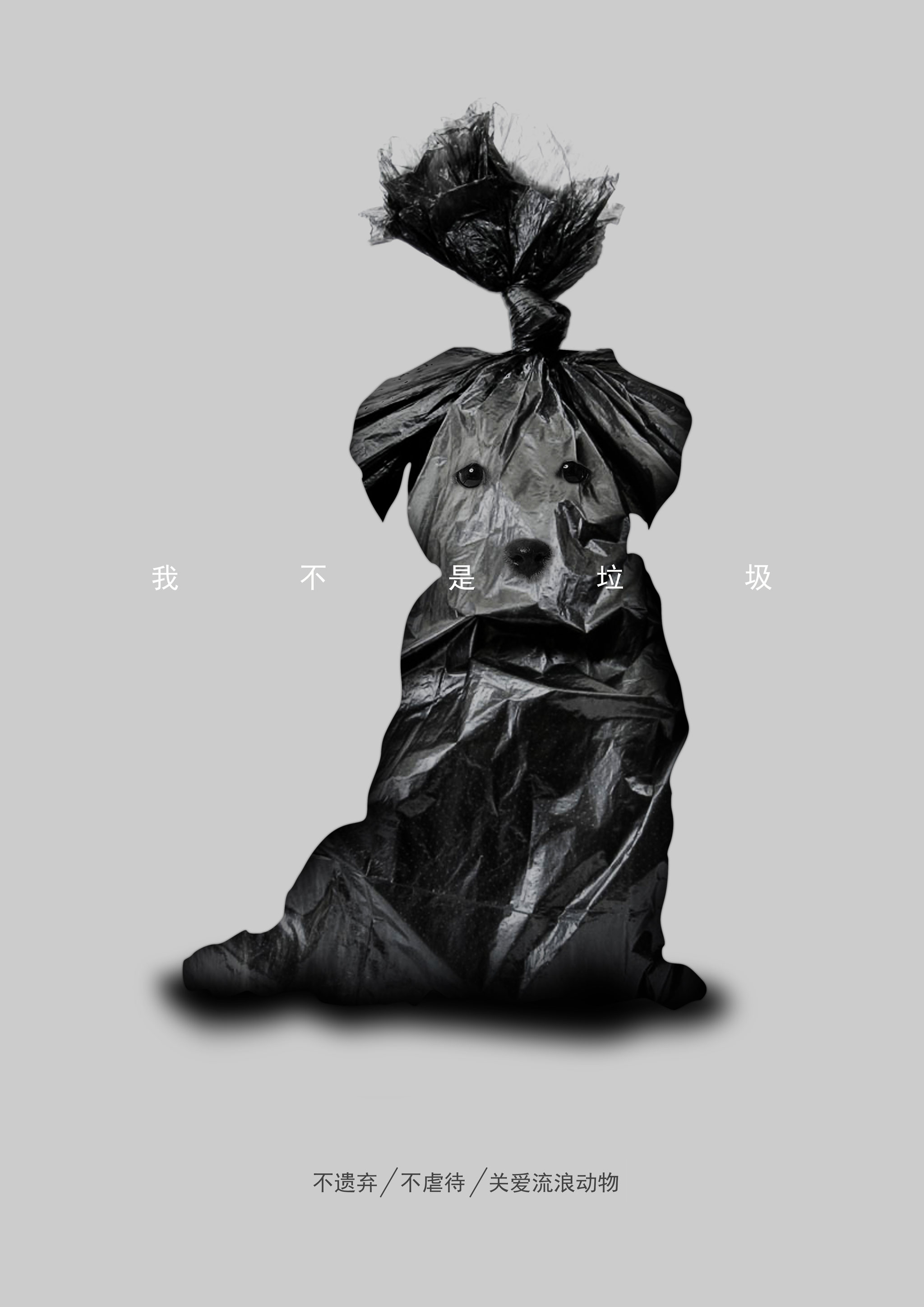 关爱流浪动物 - wilsonmark - 原创作品 - 视觉中国(shijueme)