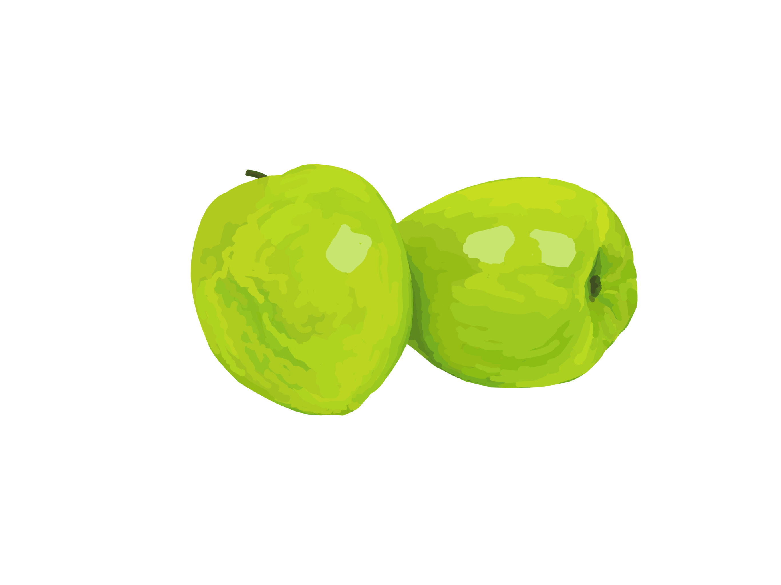 手绘-青枣 - 橘子铁人 - 原创作品 - 视觉中国(shijueme)