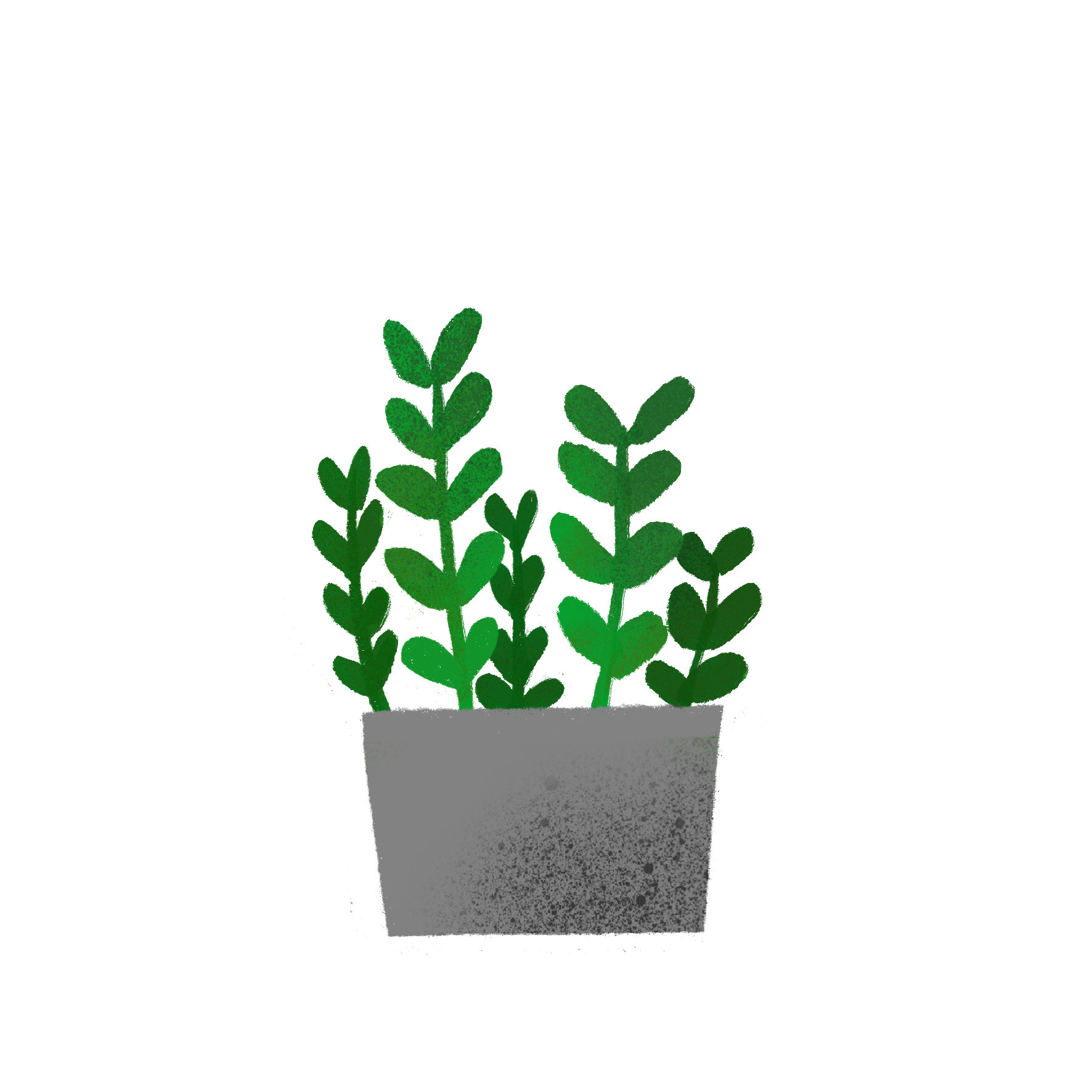 多肉植物 室内生活 绿植 生活方式 宅 小草 长草 - 插画师柴柴 - 原创