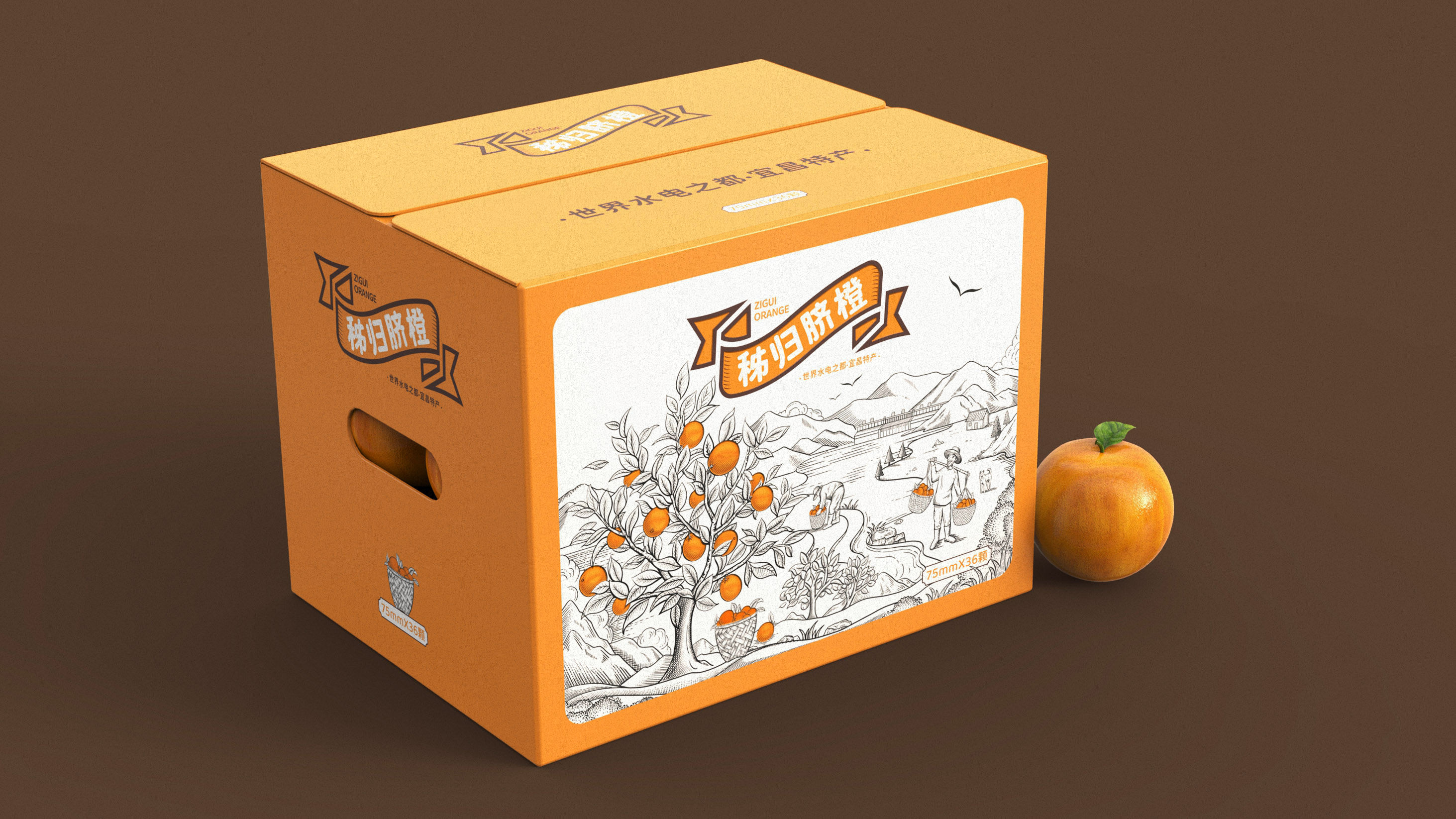 秭归脐橙包装设计|世界水电之都宜昌特产