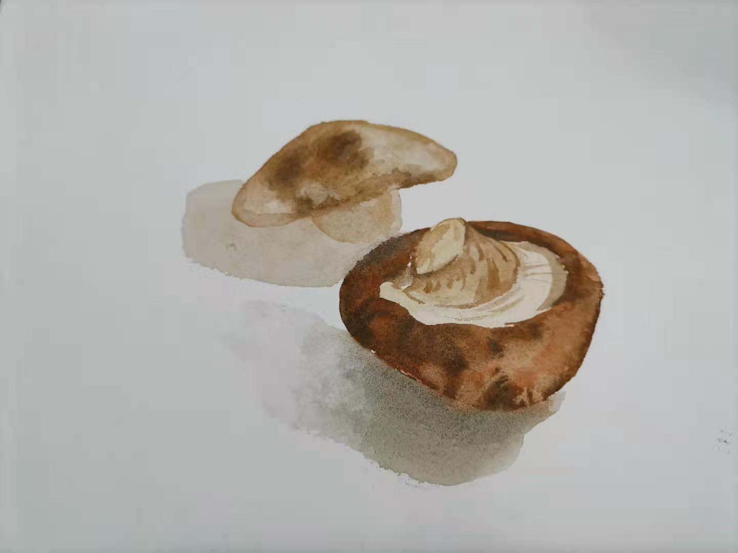 国画香菇的画法图片