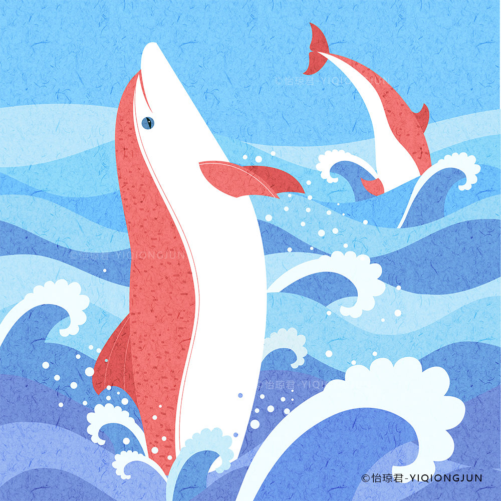 扁平插画-海豚