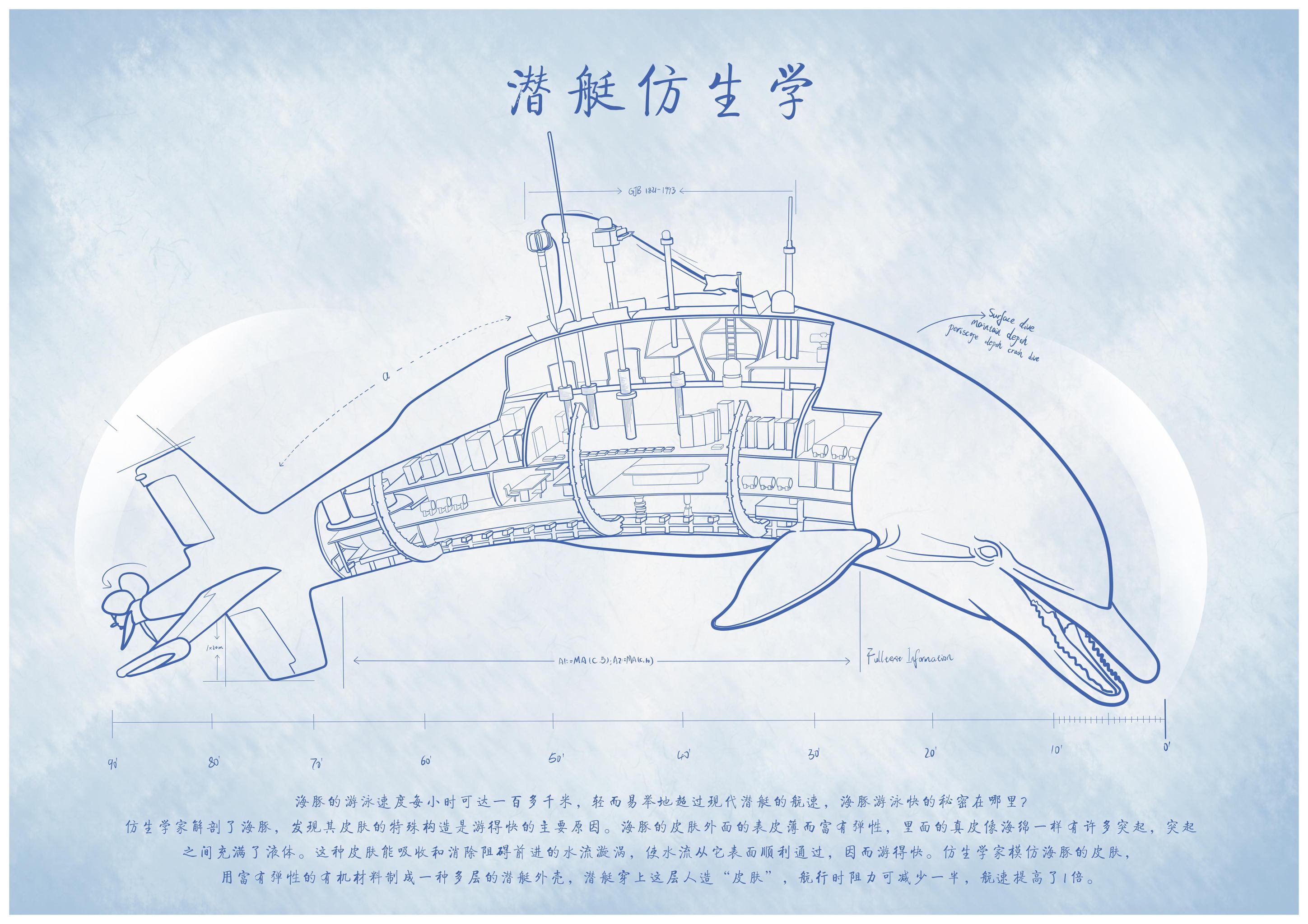 《动物仿生学》