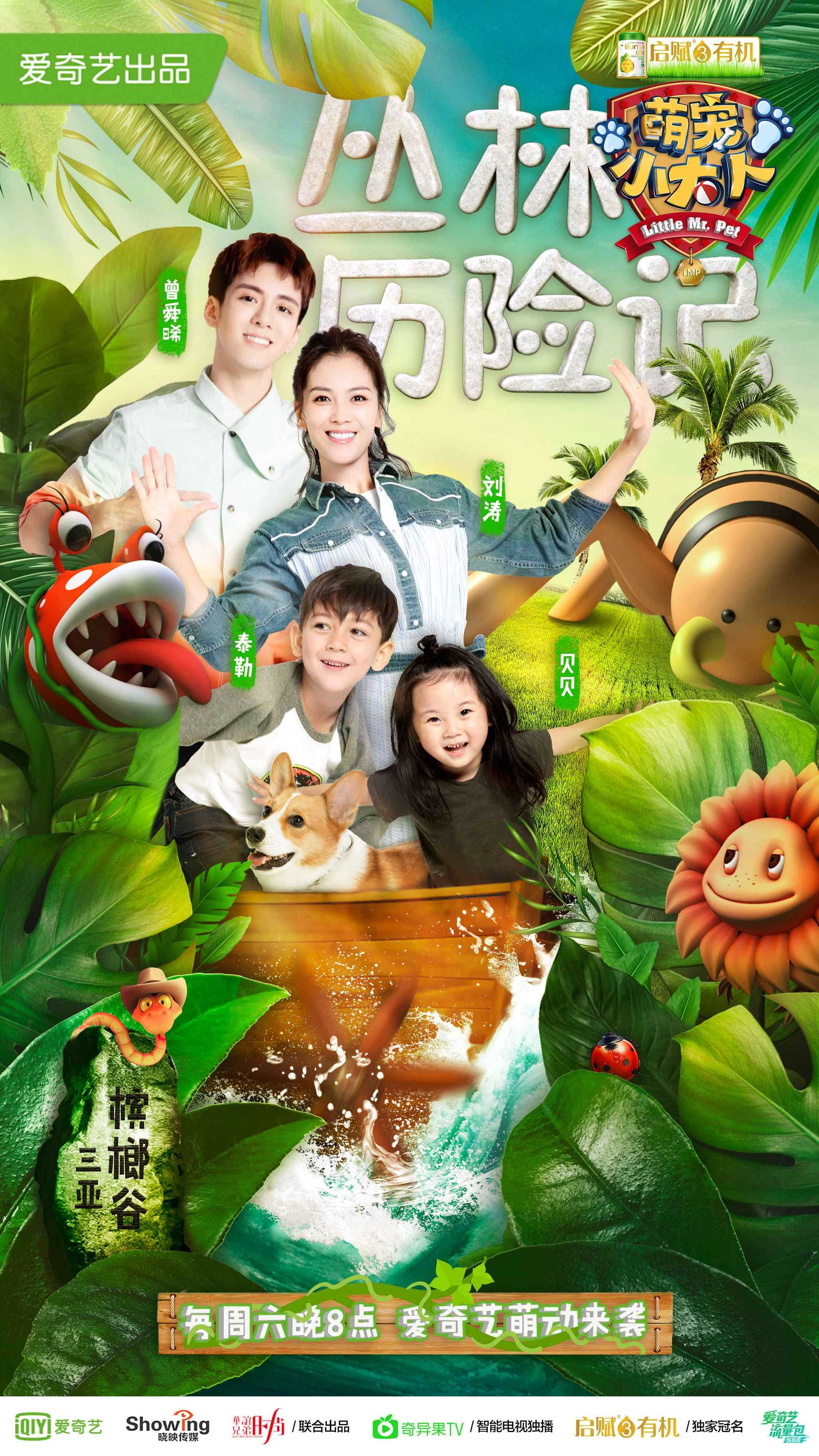 爱奇艺网综《萌宠小大人》分期海报