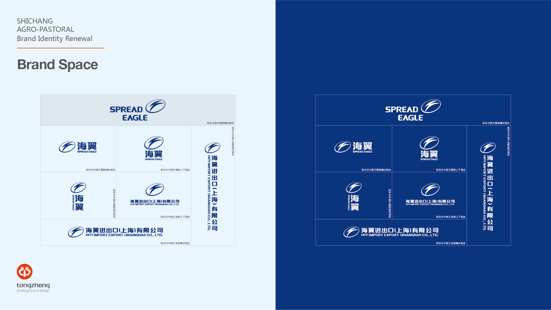 spread eagle海翼汽配vi设计欣赏-上海通正提供