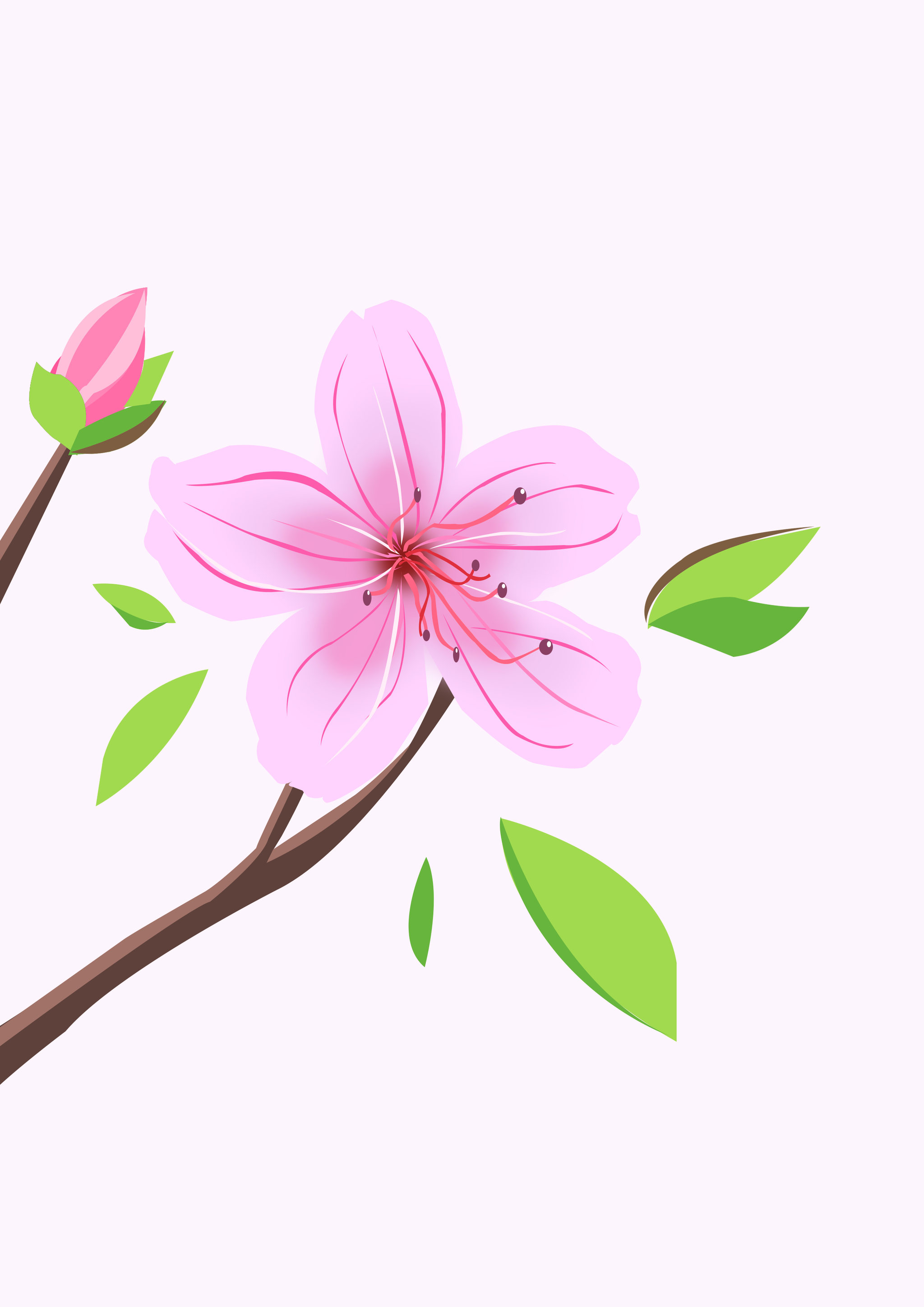 杜鹃花 插画  - 商业插画 |   上传时间: 2018-11-17 11:10 0 为ta点