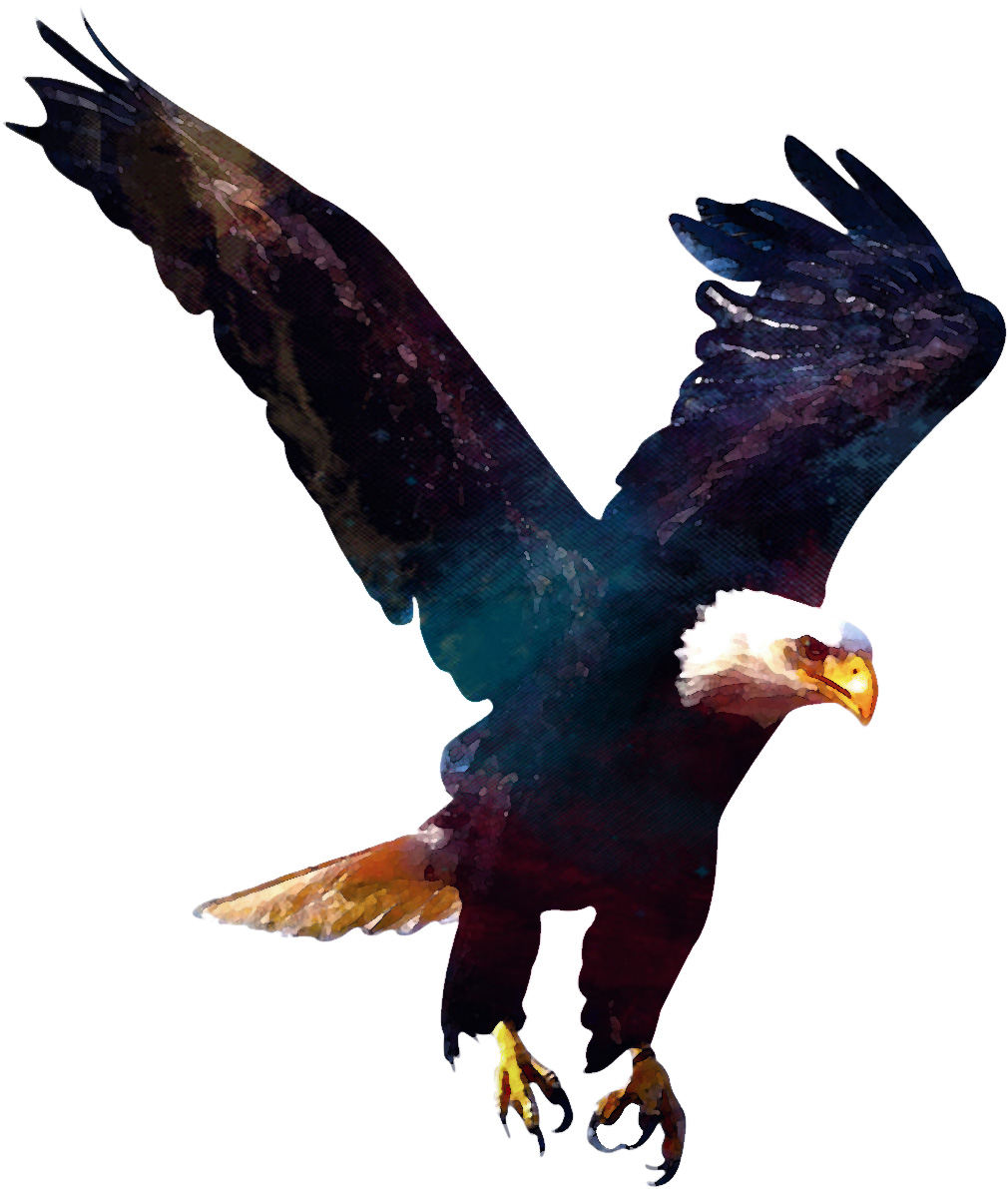 水彩老鹰 - 艾达布礼 - 原创作品 - 视觉中国(shijueme)