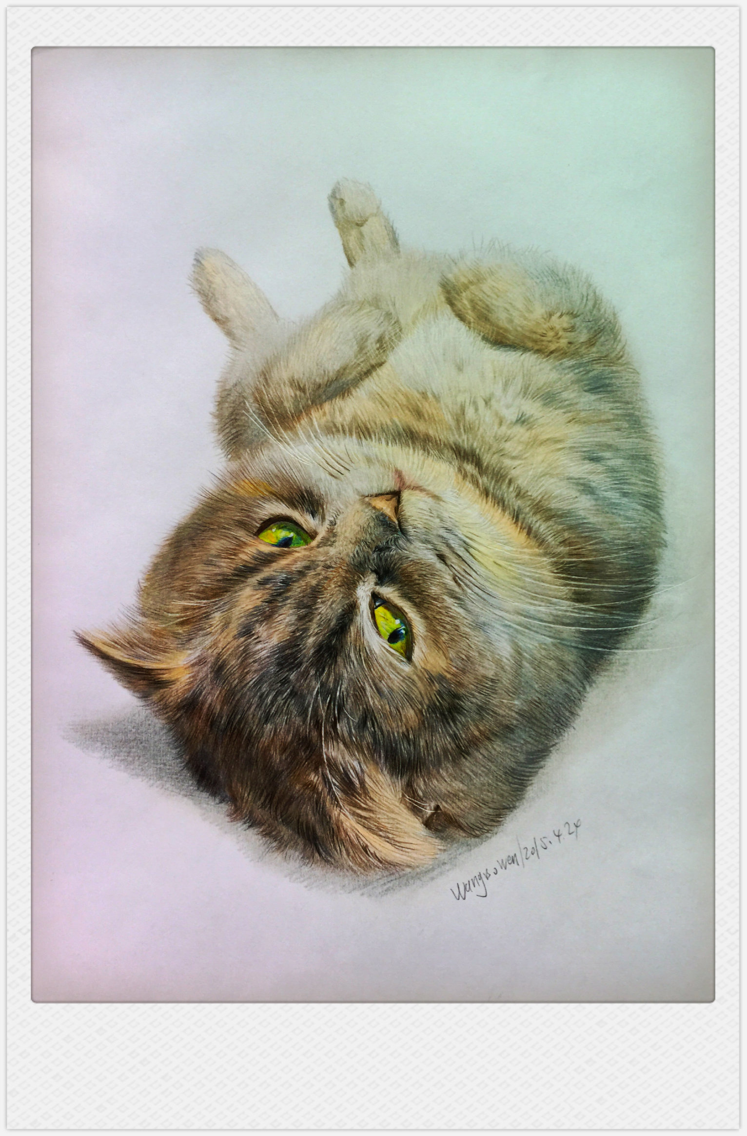 彩铅动物作品 - 博文手绘 - 原创作品 - 视觉中国(爱视觉)