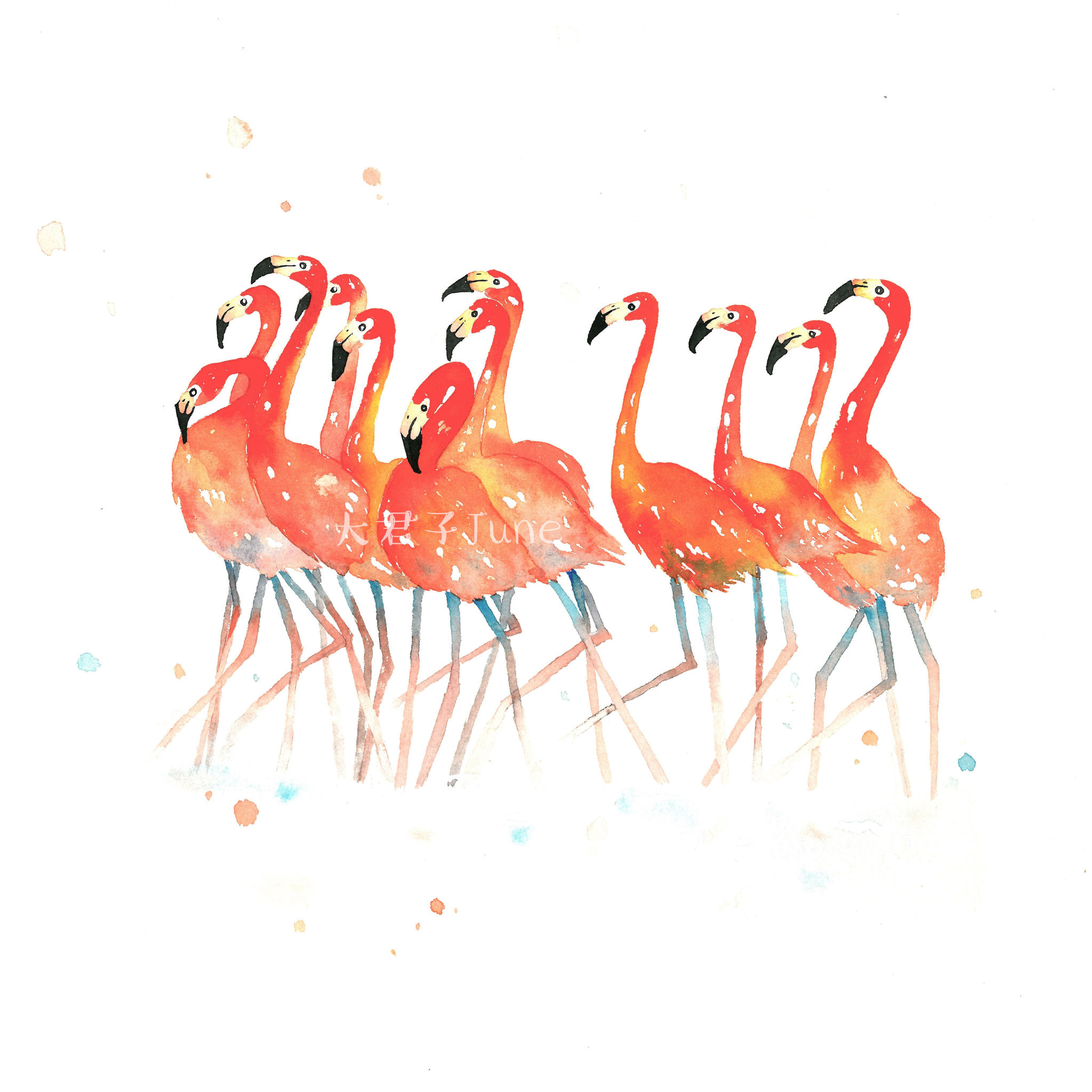 原创手绘水彩插画火烈鸟-不断前行