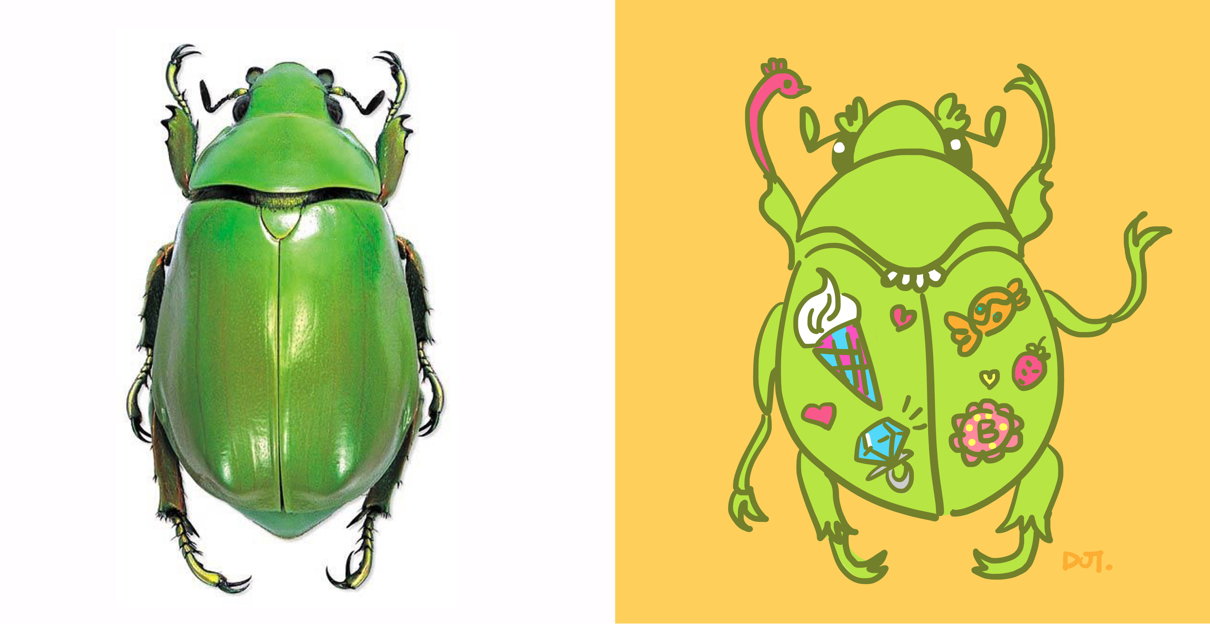 (新作)甲虫系列