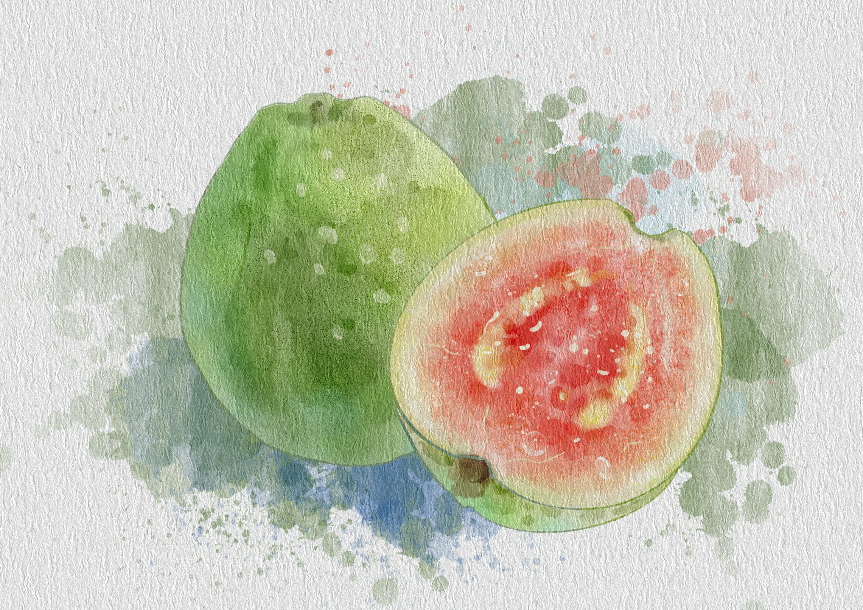 水彩水果 水彩花卉