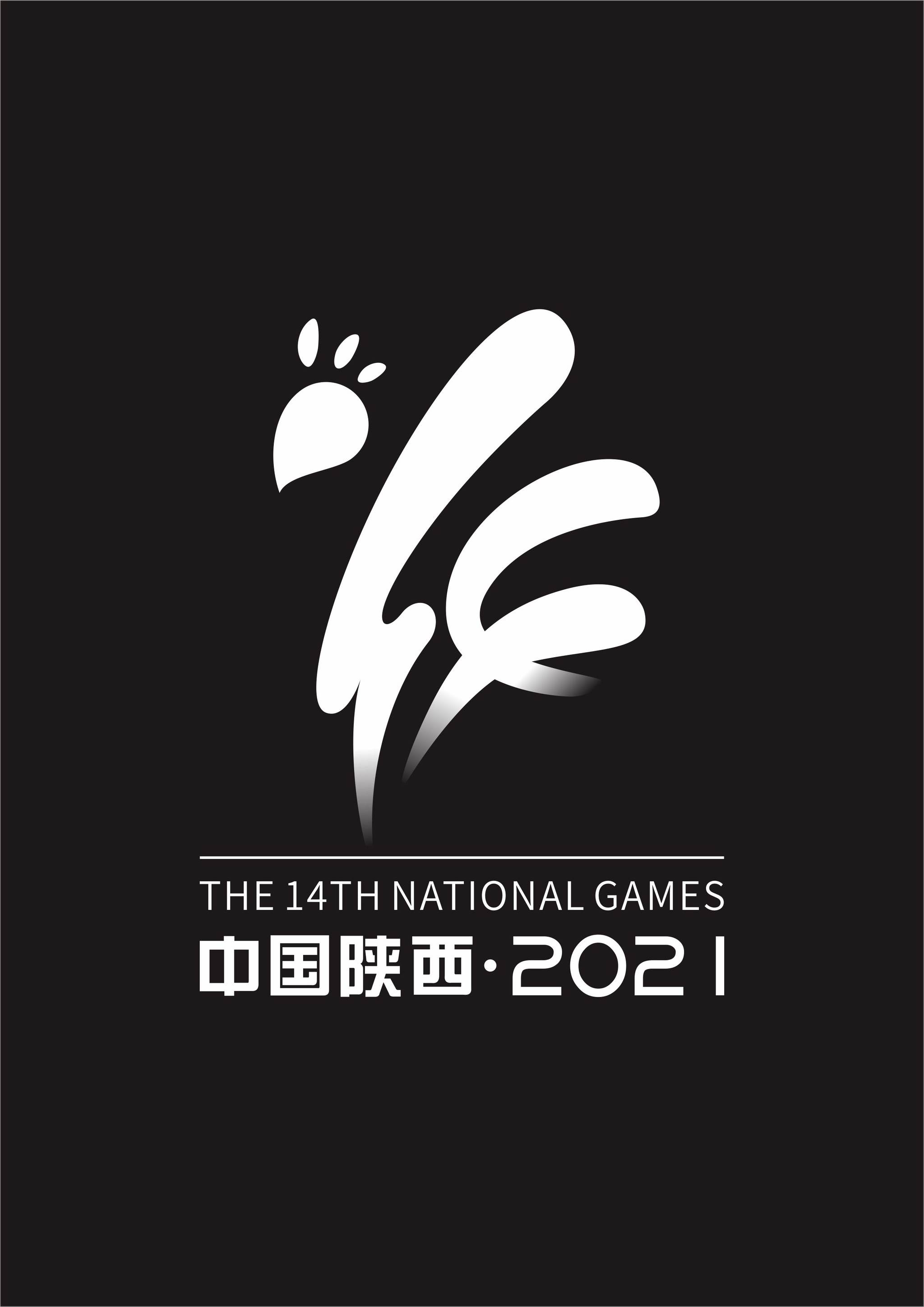 陕西省第14届全运会