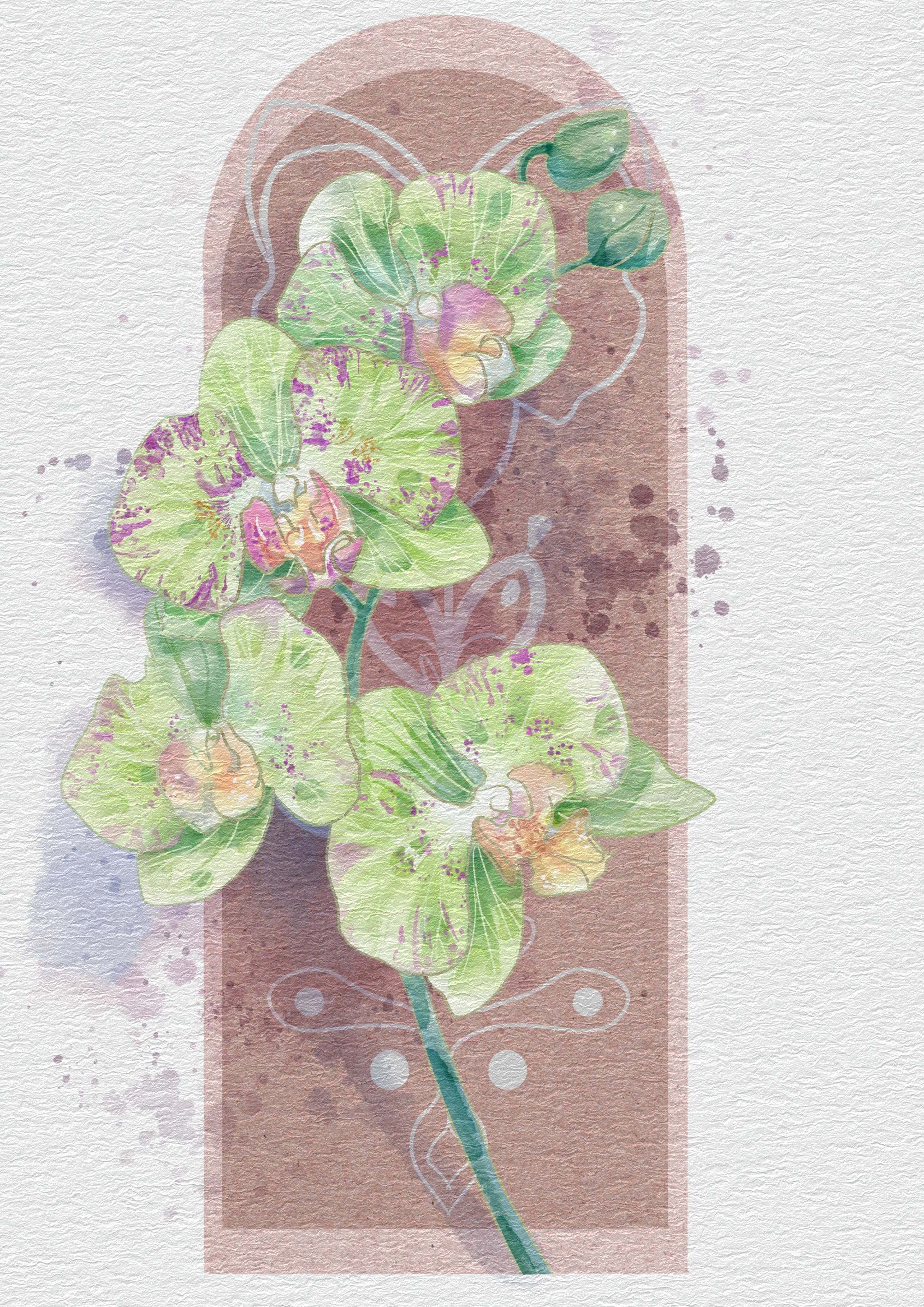 水彩水果 水彩花卉