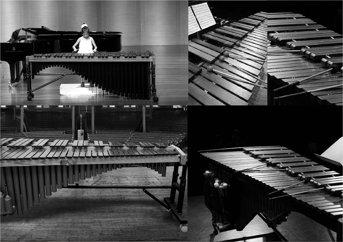 百人木琴演奏会 · 意境 · 似与不似