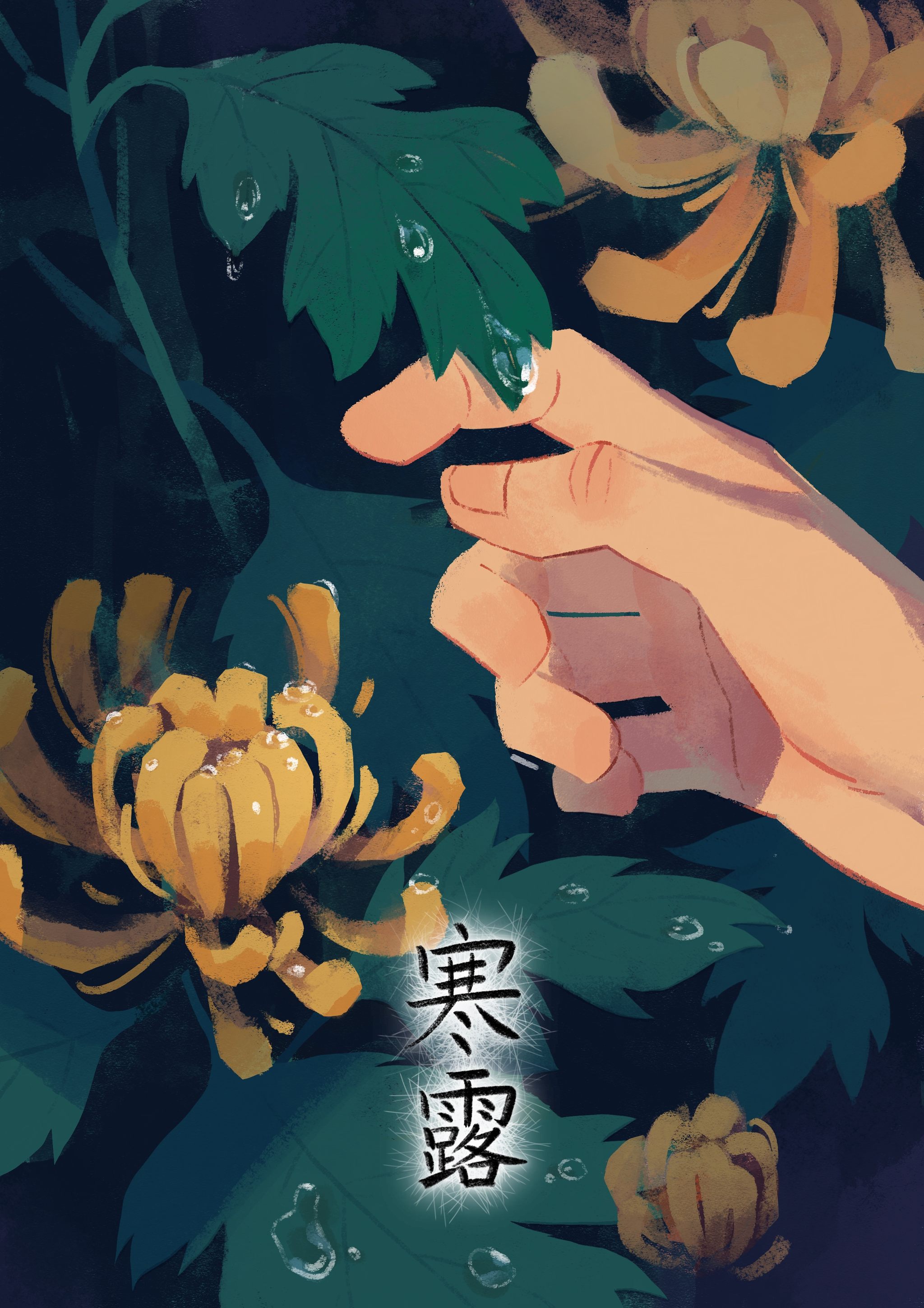 二十四节气插画 寒露 菊华露凝