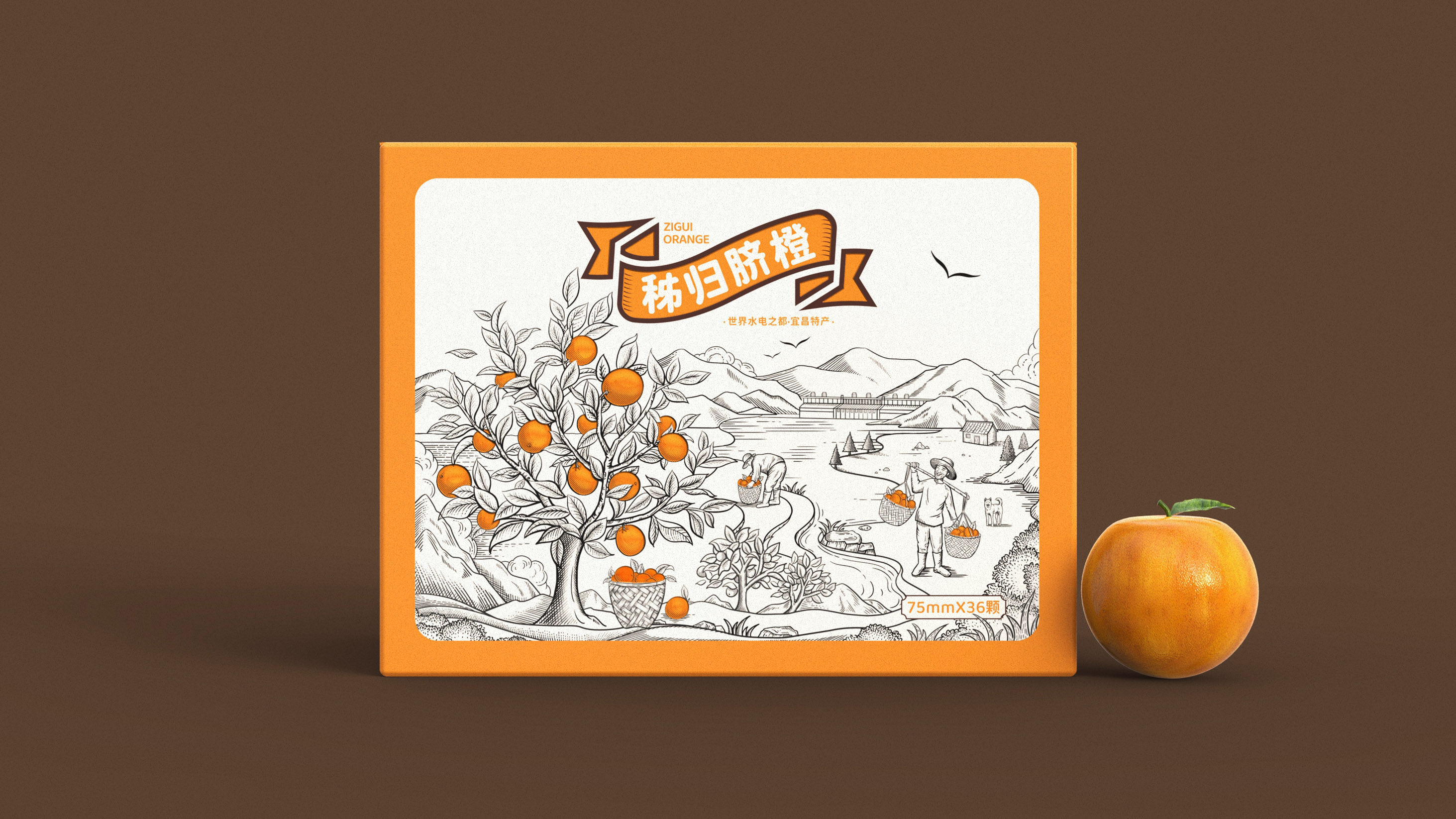 秭归脐橙包装设计|世界水电之都宜昌特产