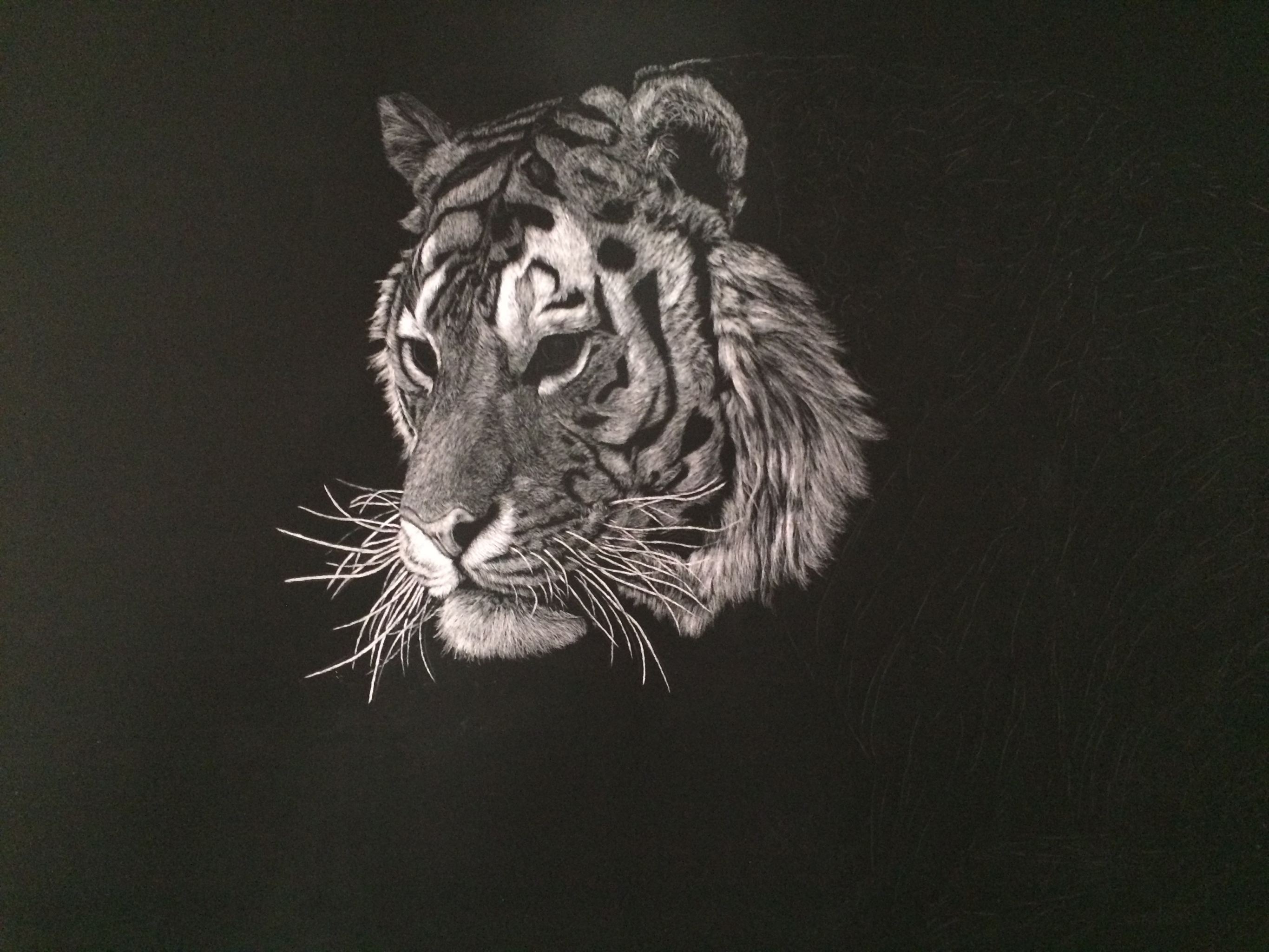 李子哥刮画作品再向虎山行