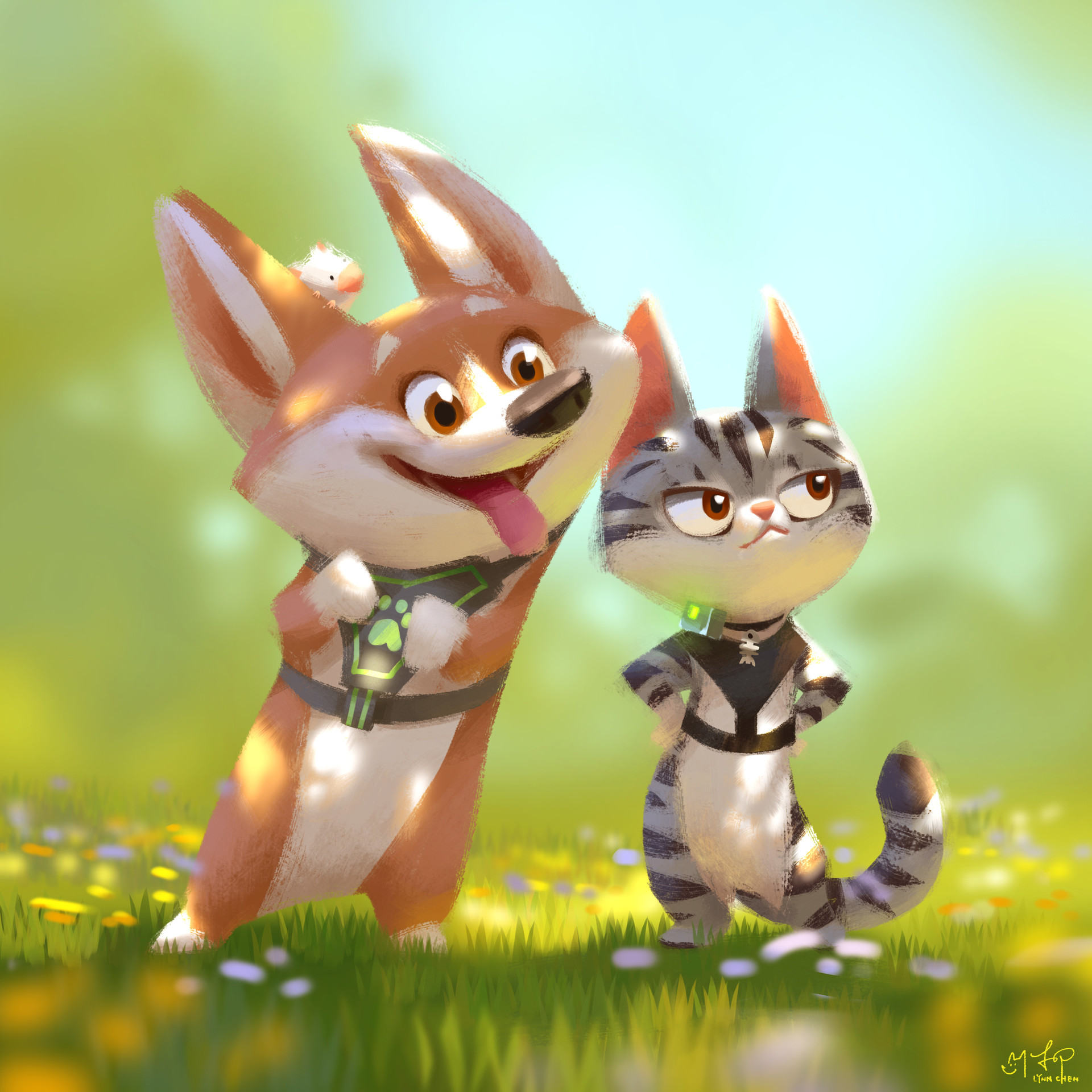 台风来了,我就想和它窝在家!小柯基专辑