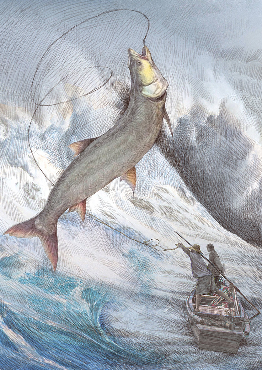 《鱼虎传奇》彩稿