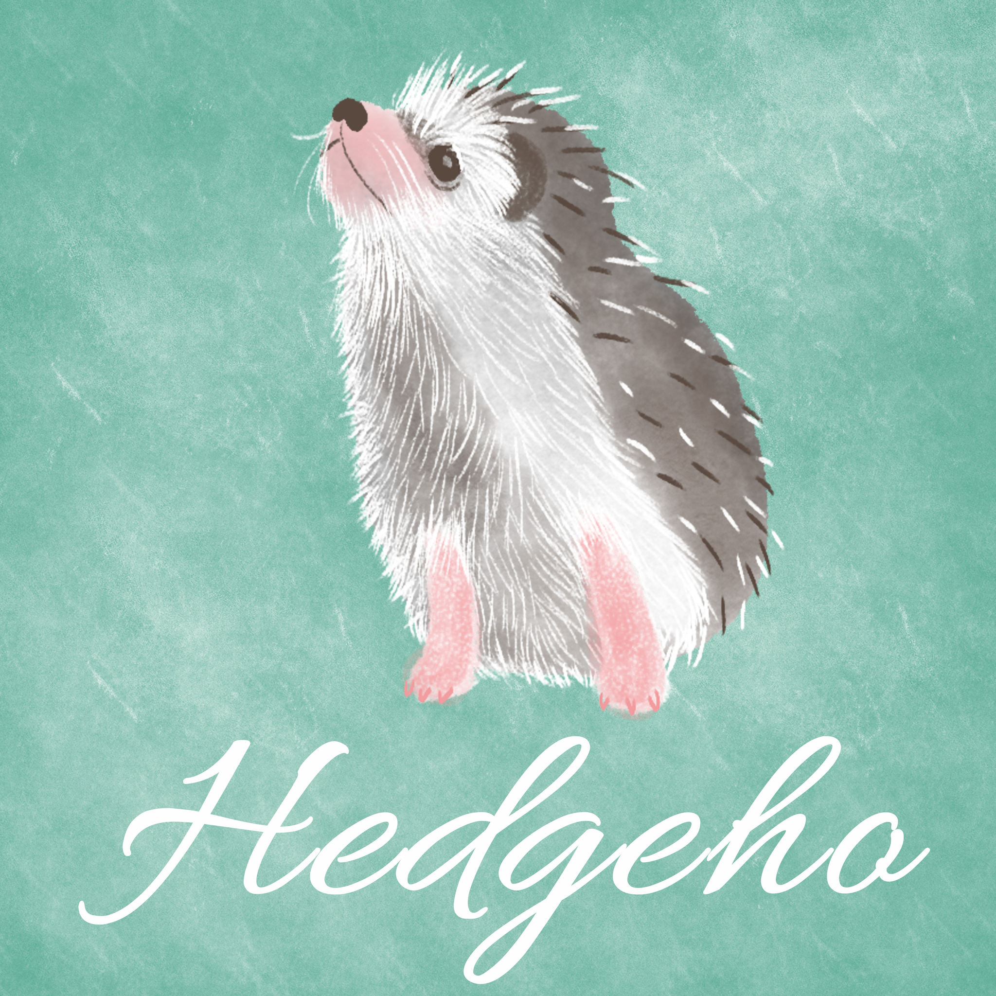 水彩小刺猬 插画  - 商业插画 |   上传时间: 2021-07-28 14:05 0 为