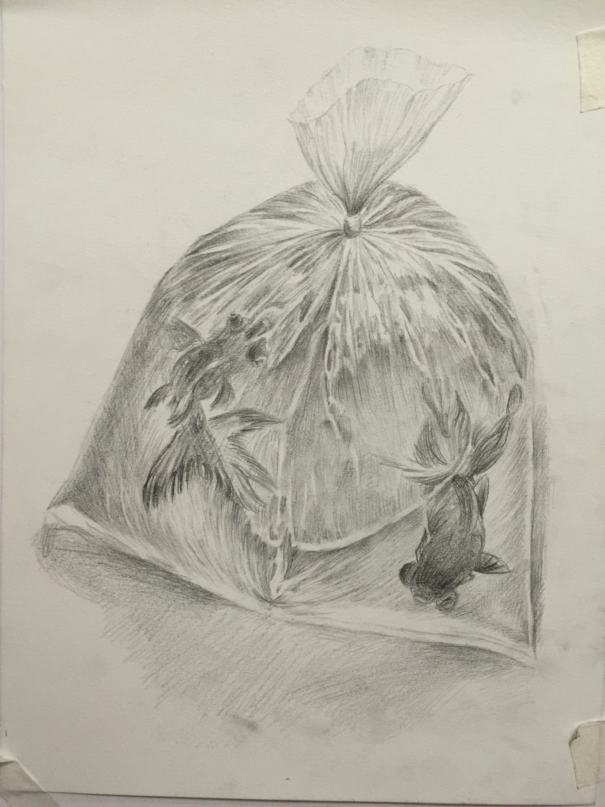 塑料袋里的鱼.含步骤图.