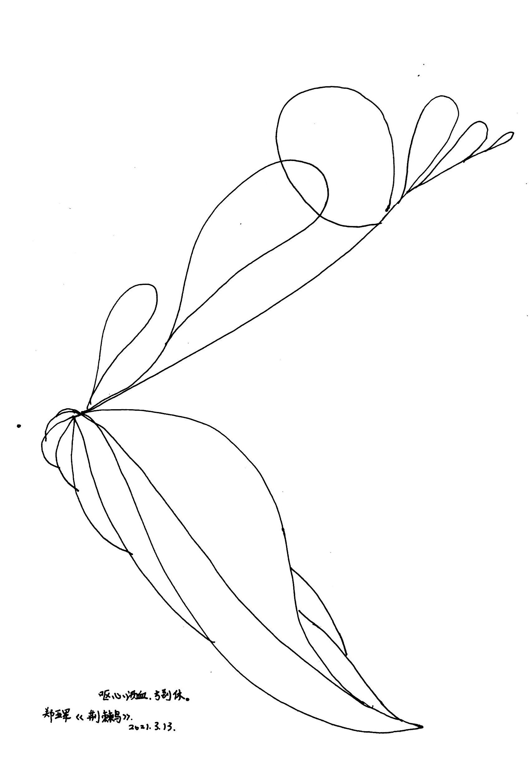 《荆棘鸟》 插画  - 其他绘画 |   上传时间: 2021-03-13 08:34 为ta