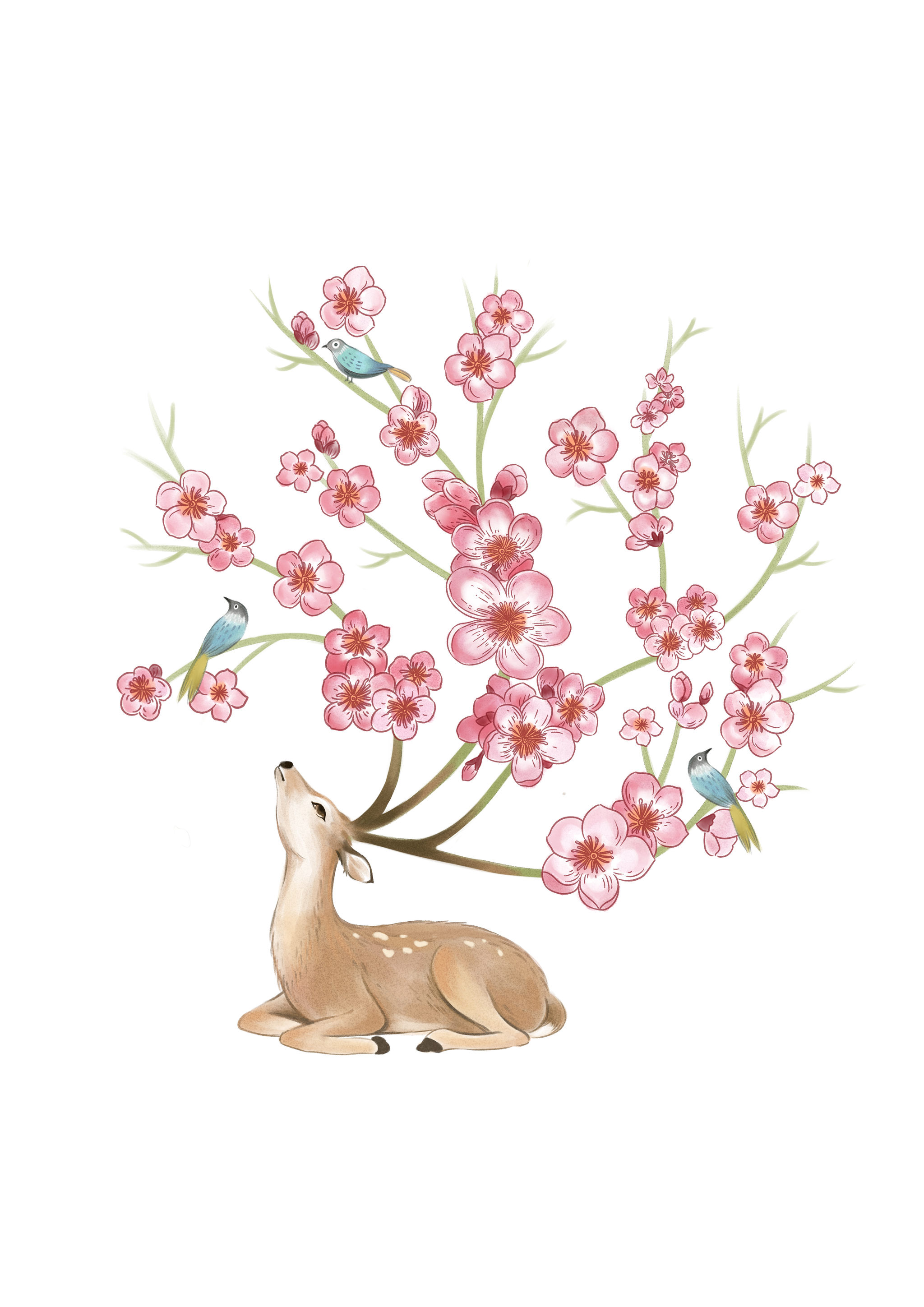 12个月当季的花以及不同形态的鹿