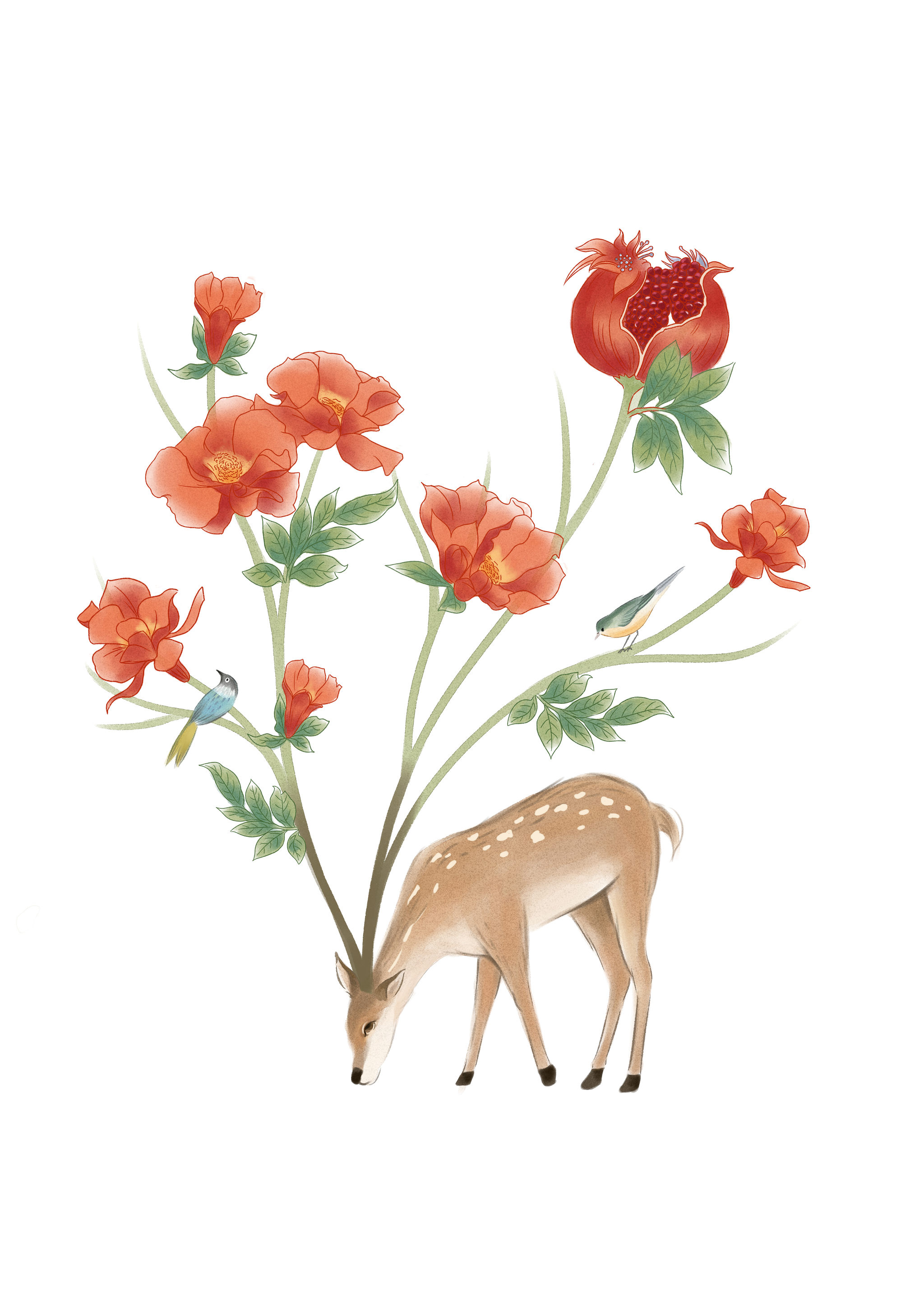 12个月当季的花以及不同形态的鹿