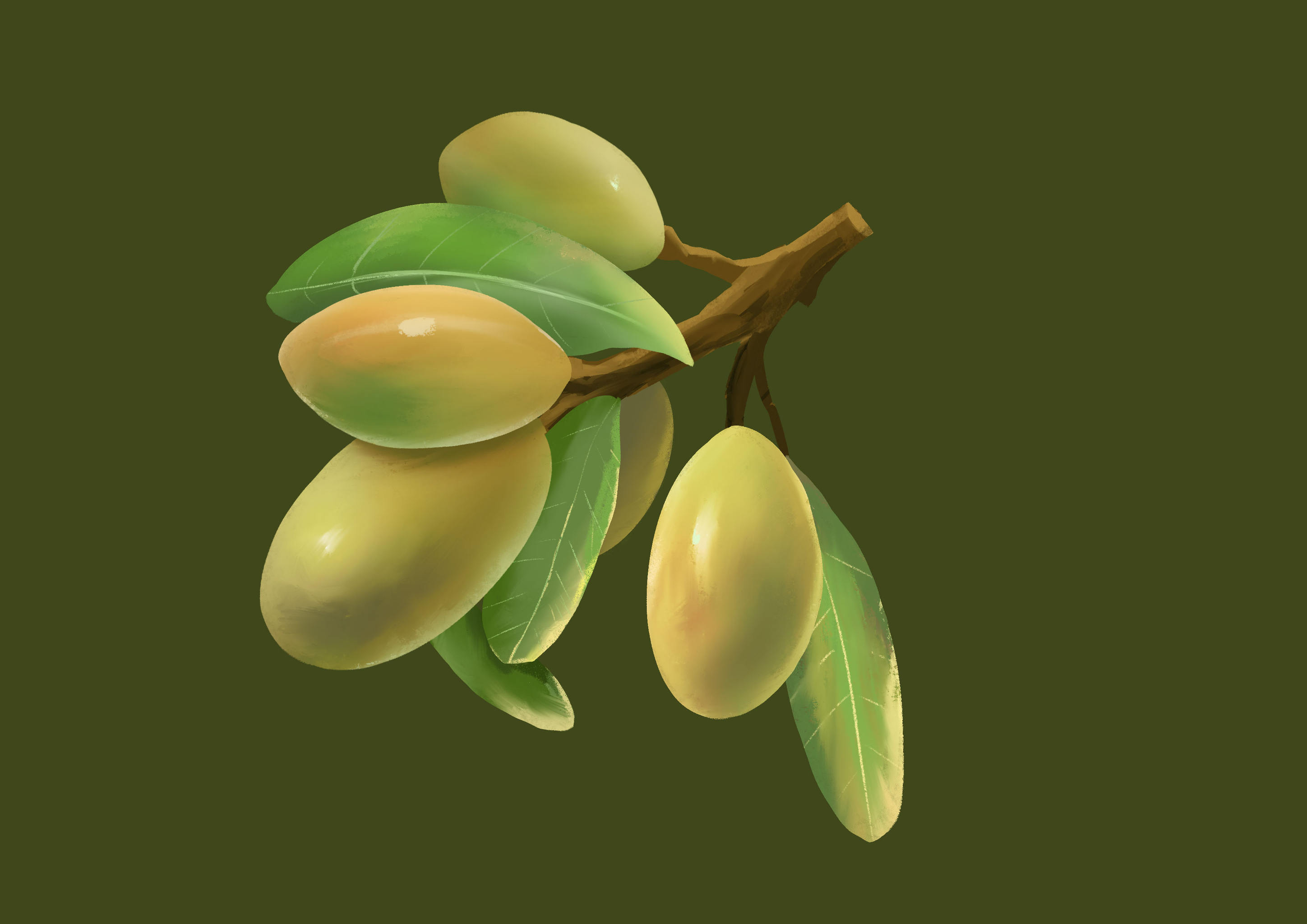 橄榄插画 - 一猫如洗 - 原创作品 - 视觉中国(shijueme)