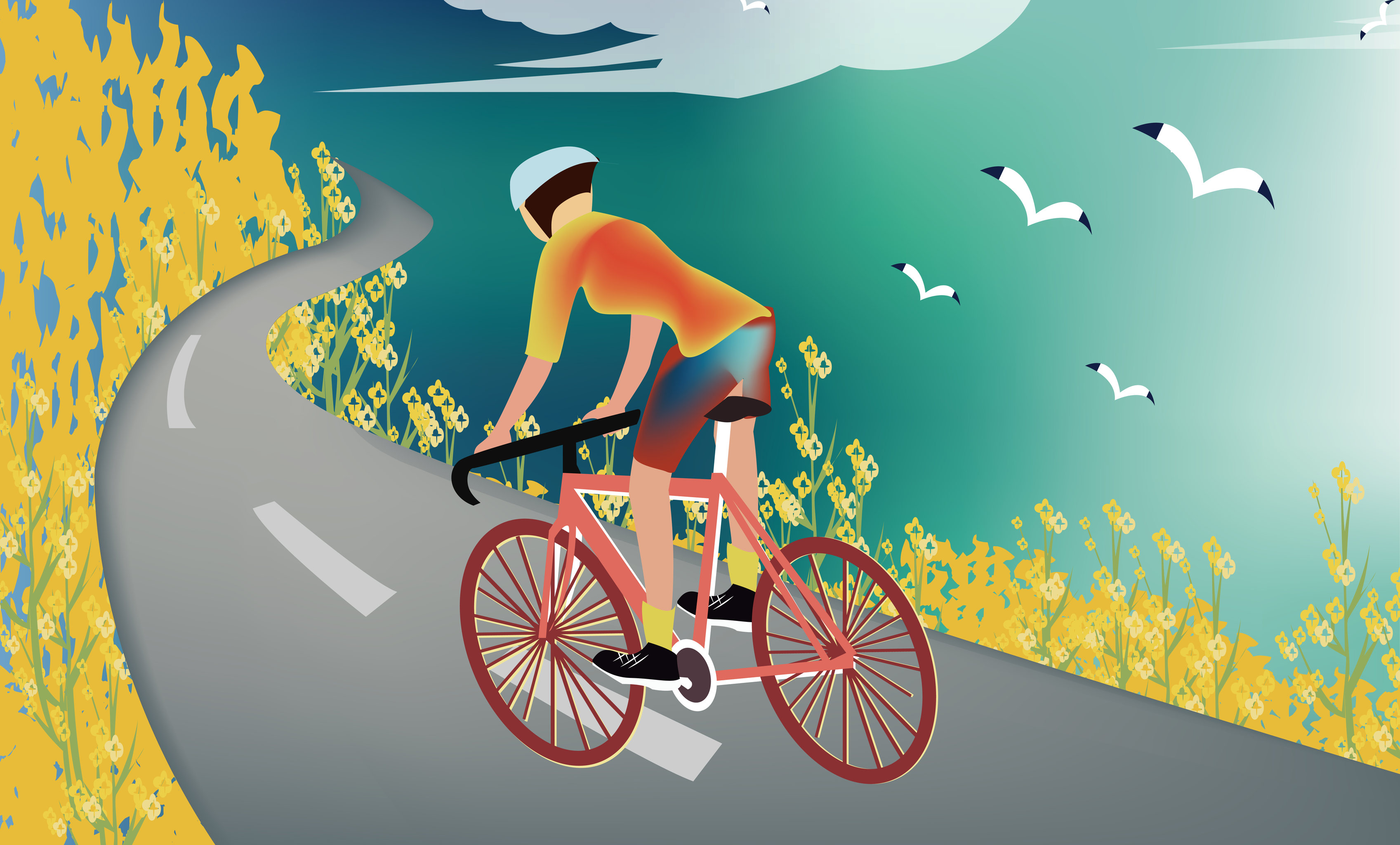 春天节气户外环湖自行车骑行矢量扁平插画