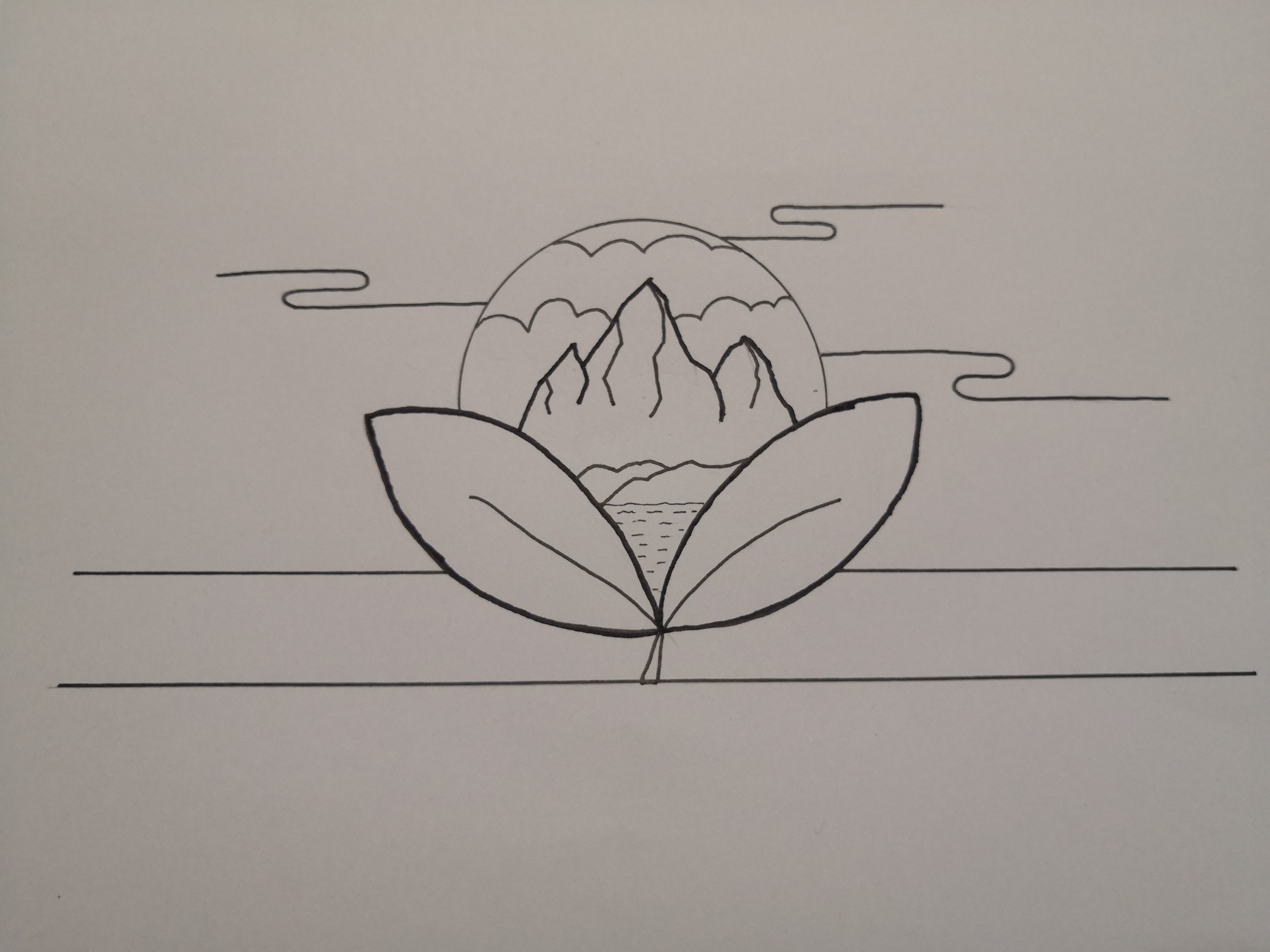 山茶产品外包装装饰画