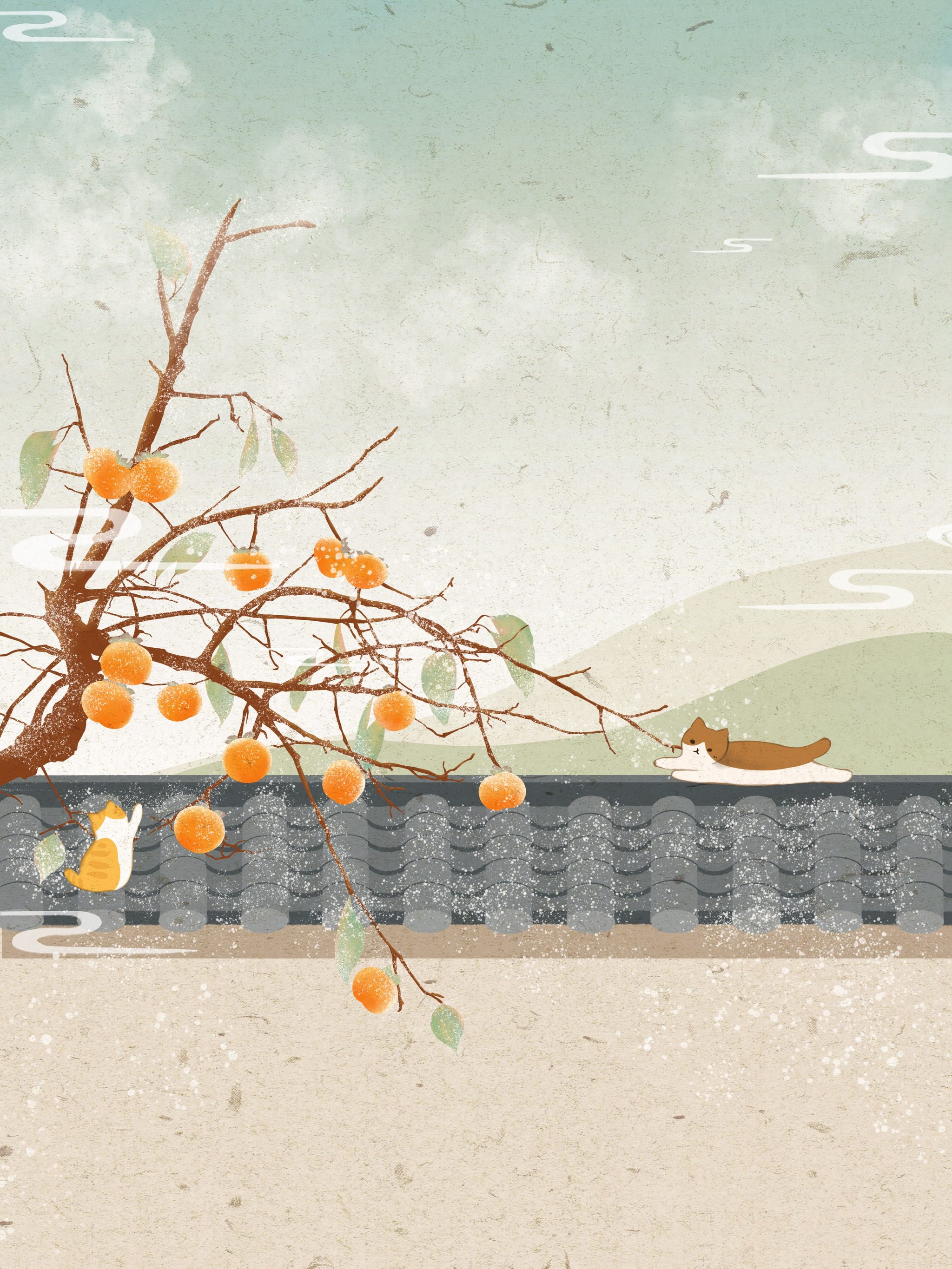 霜降——柿柿如玉(事事如意) 插画  - 商业插画 |   上传时间: 2019